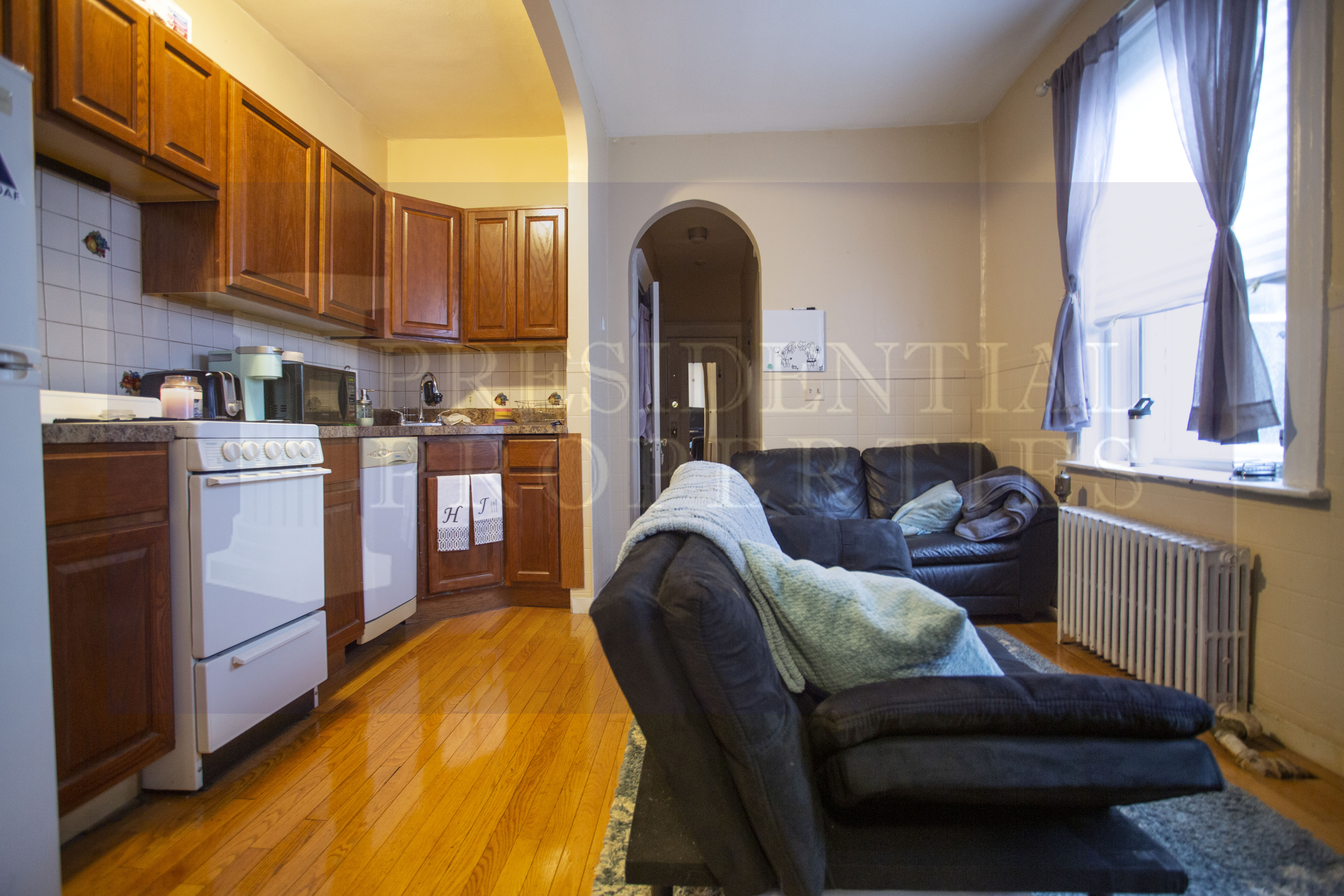 28.5 Myrtle St, Beacon Hill