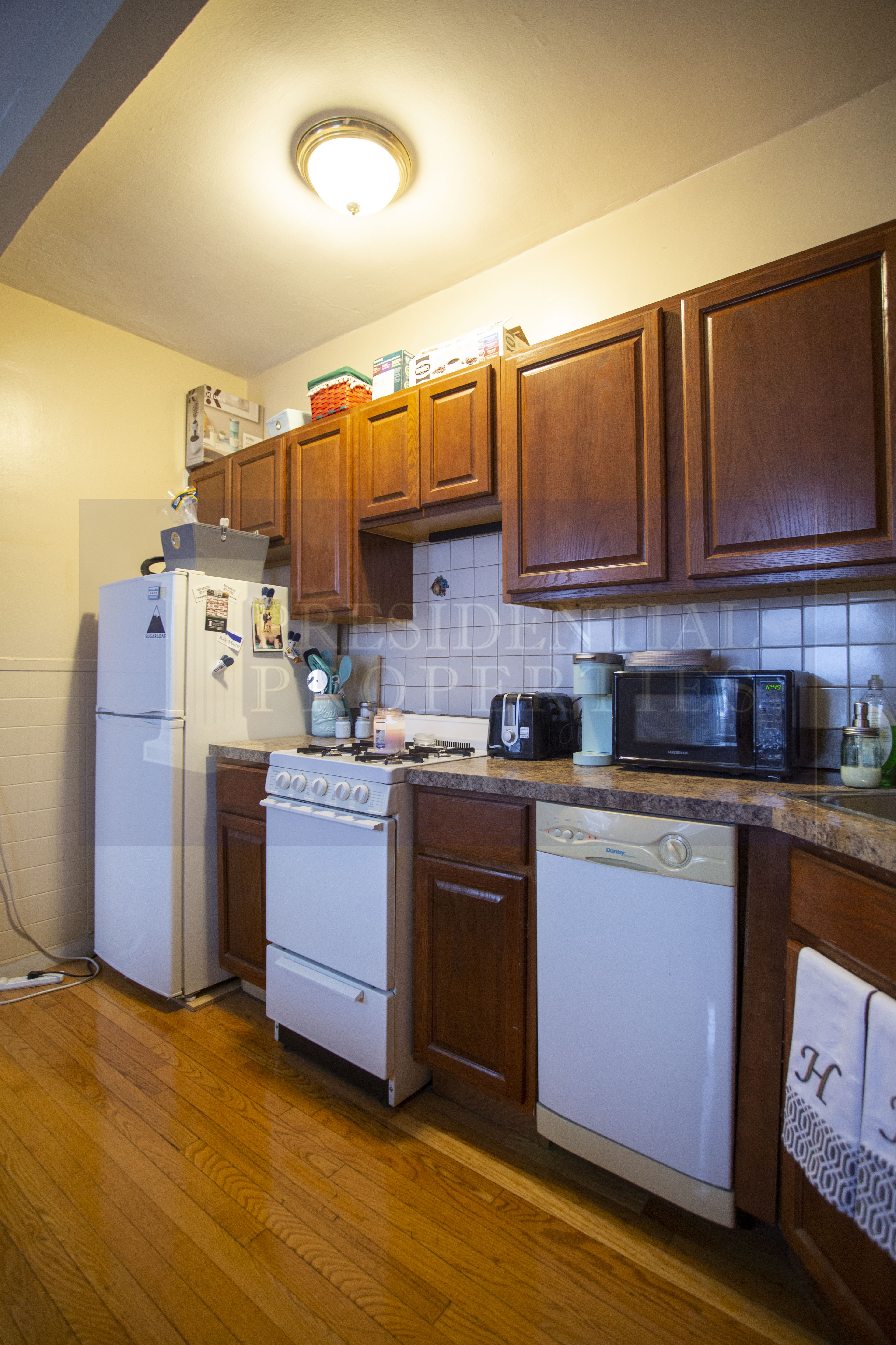 28.5 Myrtle St, Beacon Hill