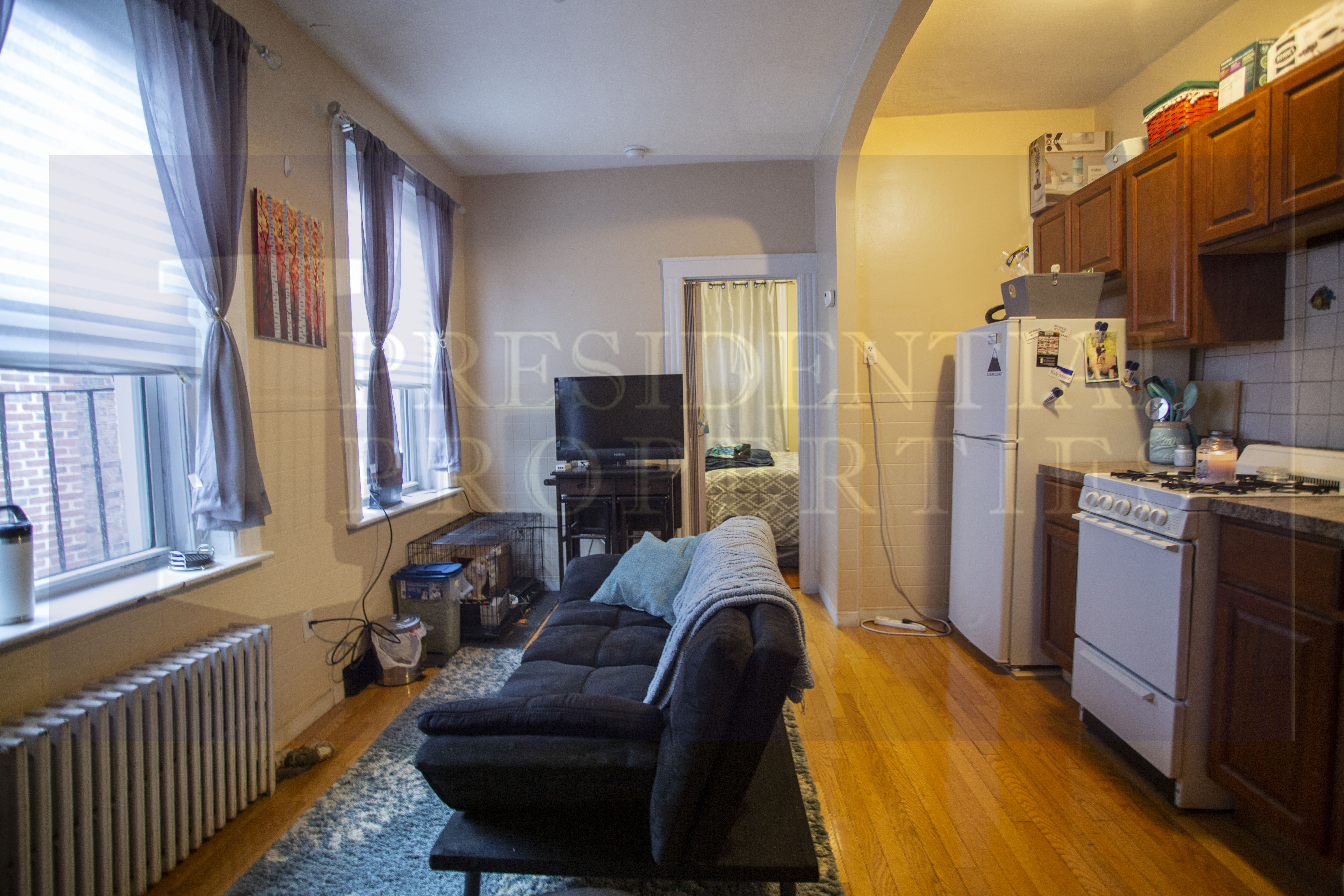 28.5 Myrtle St, Beacon Hill