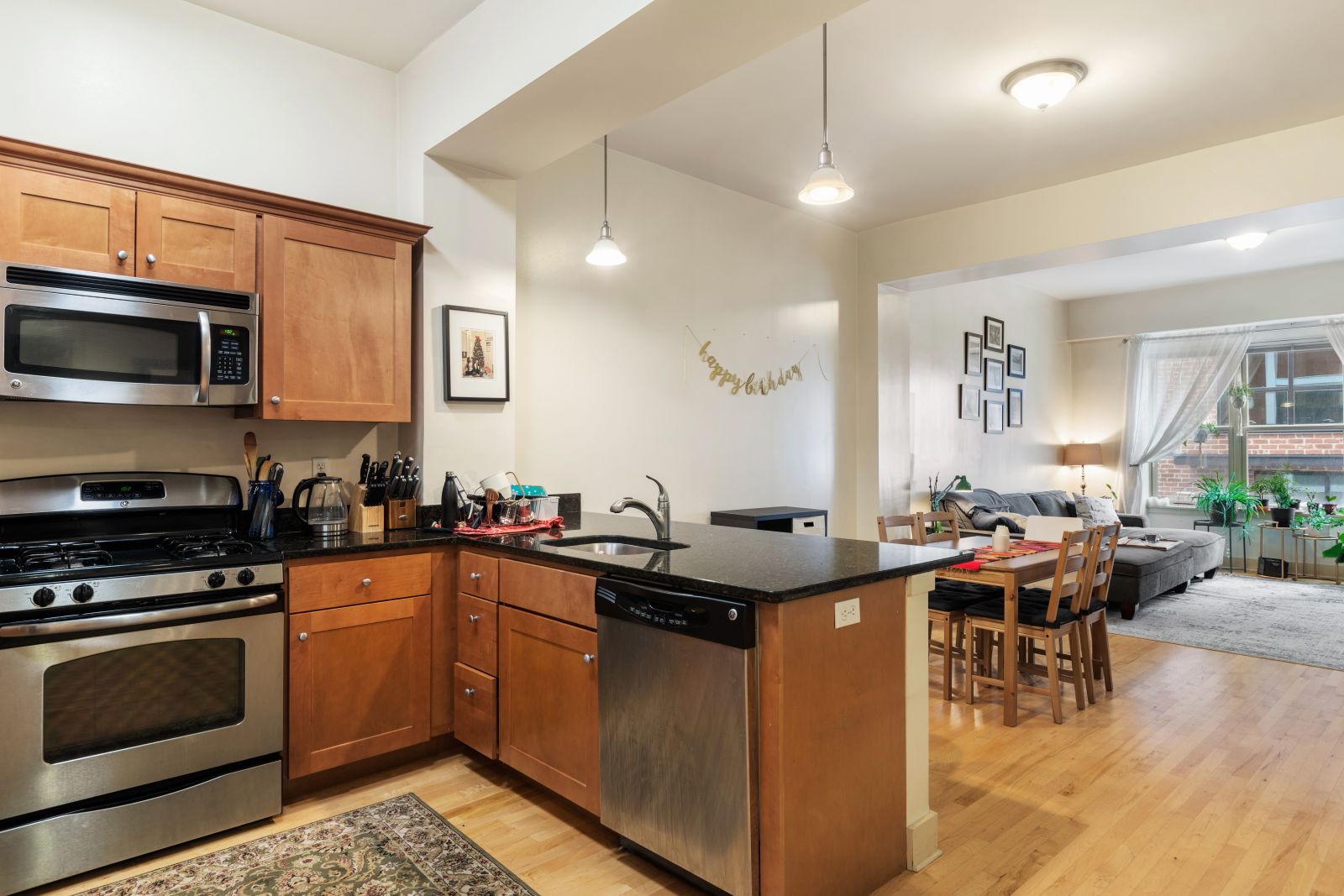 20 Parmenter St, North End