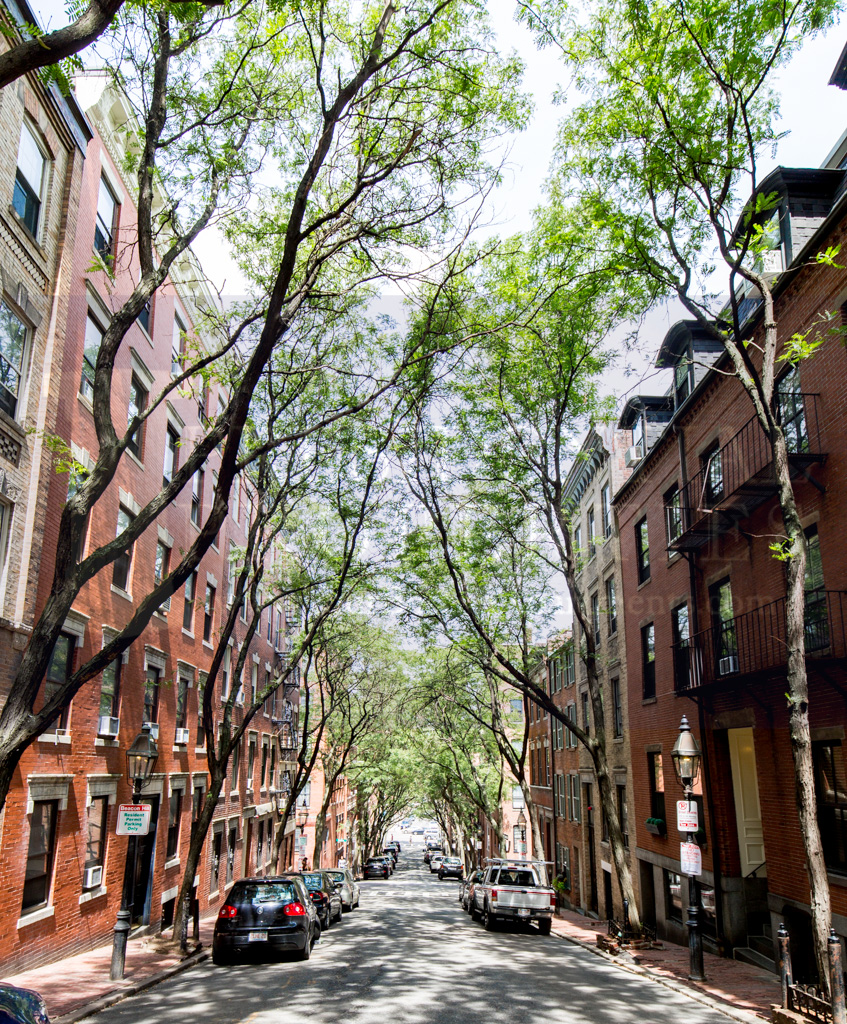 38 Garden, Beacon Hill