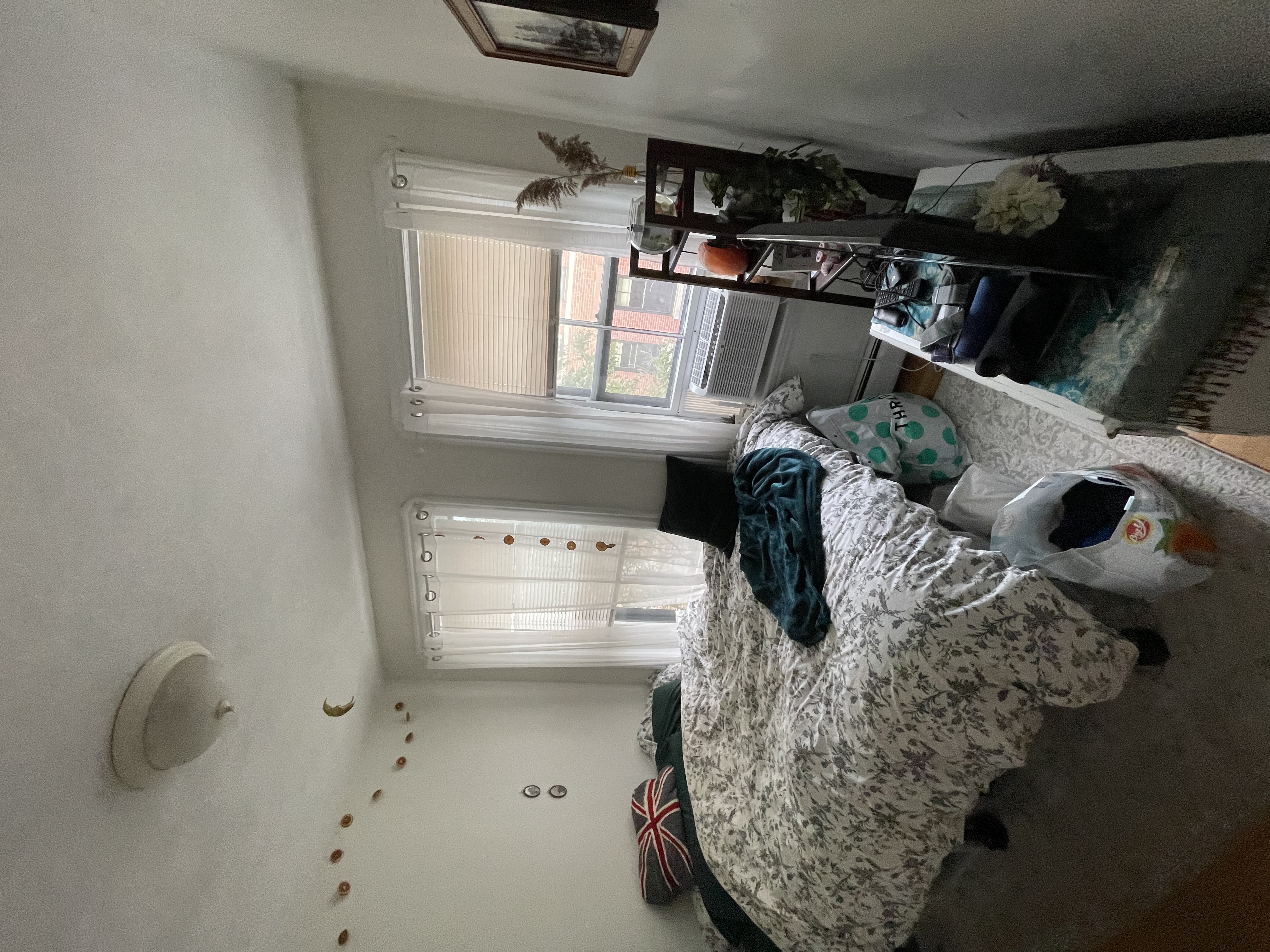 17 Irving St, Beacon Hill