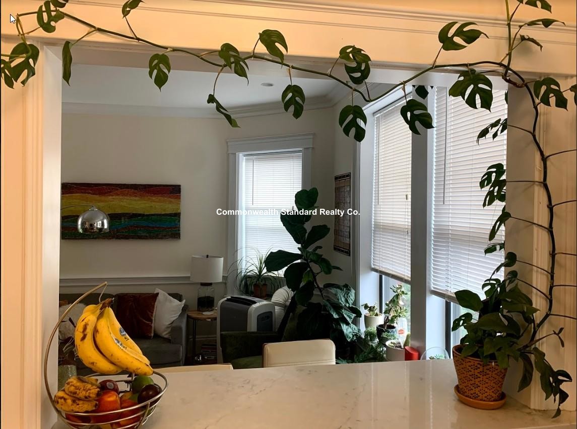 1340 Commonwealth, Allston