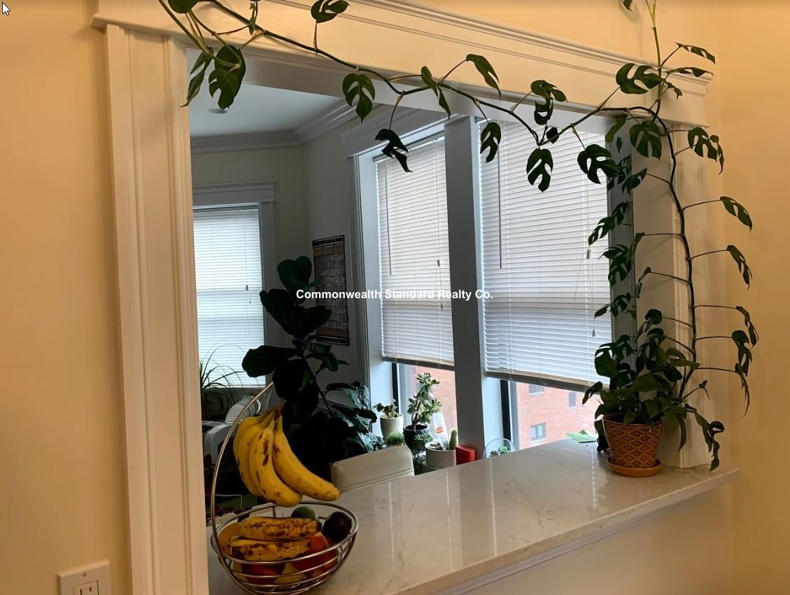 1340 Commonwealth, Allston