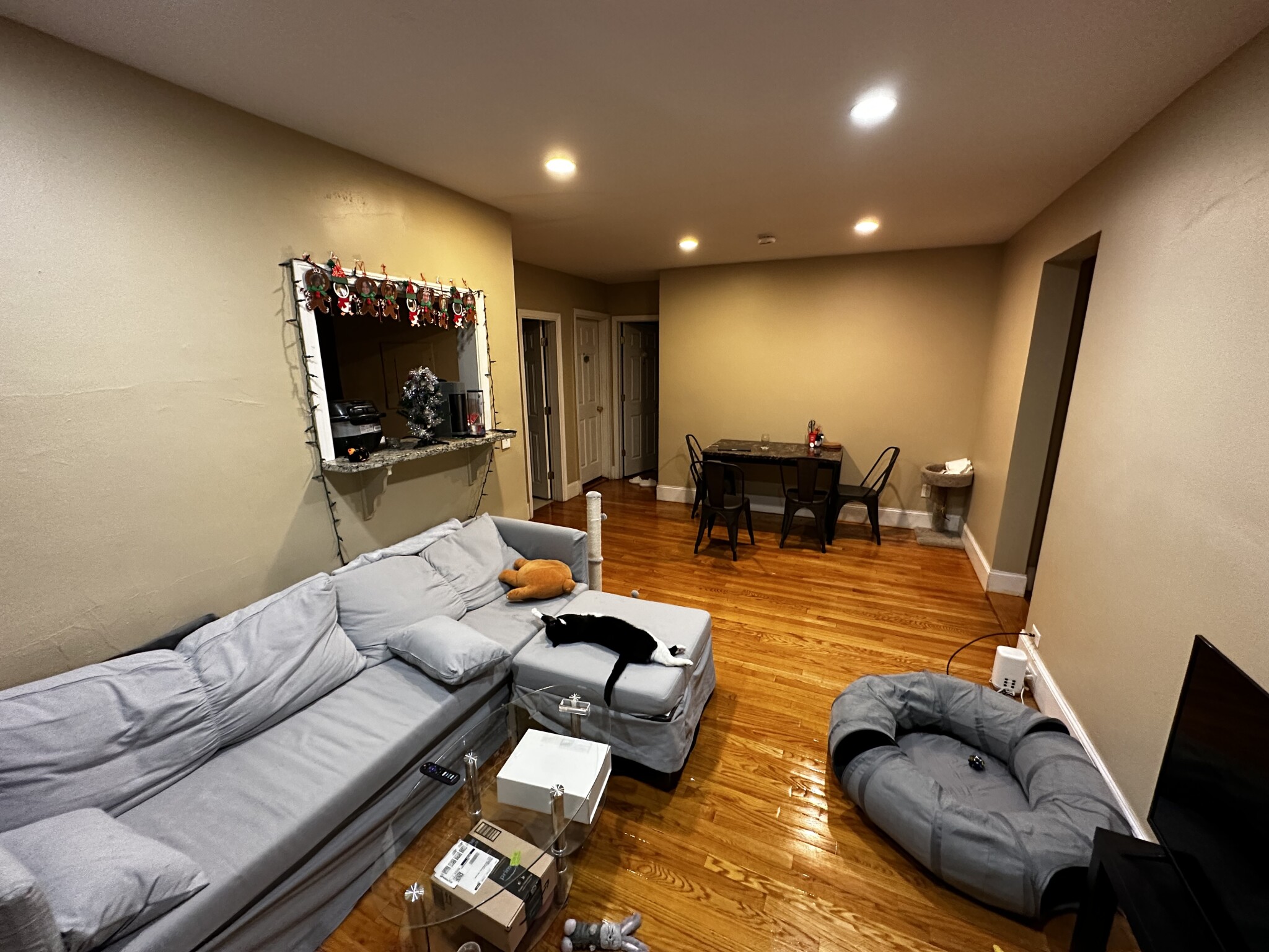 72 Egmont St, Coolidge Corner