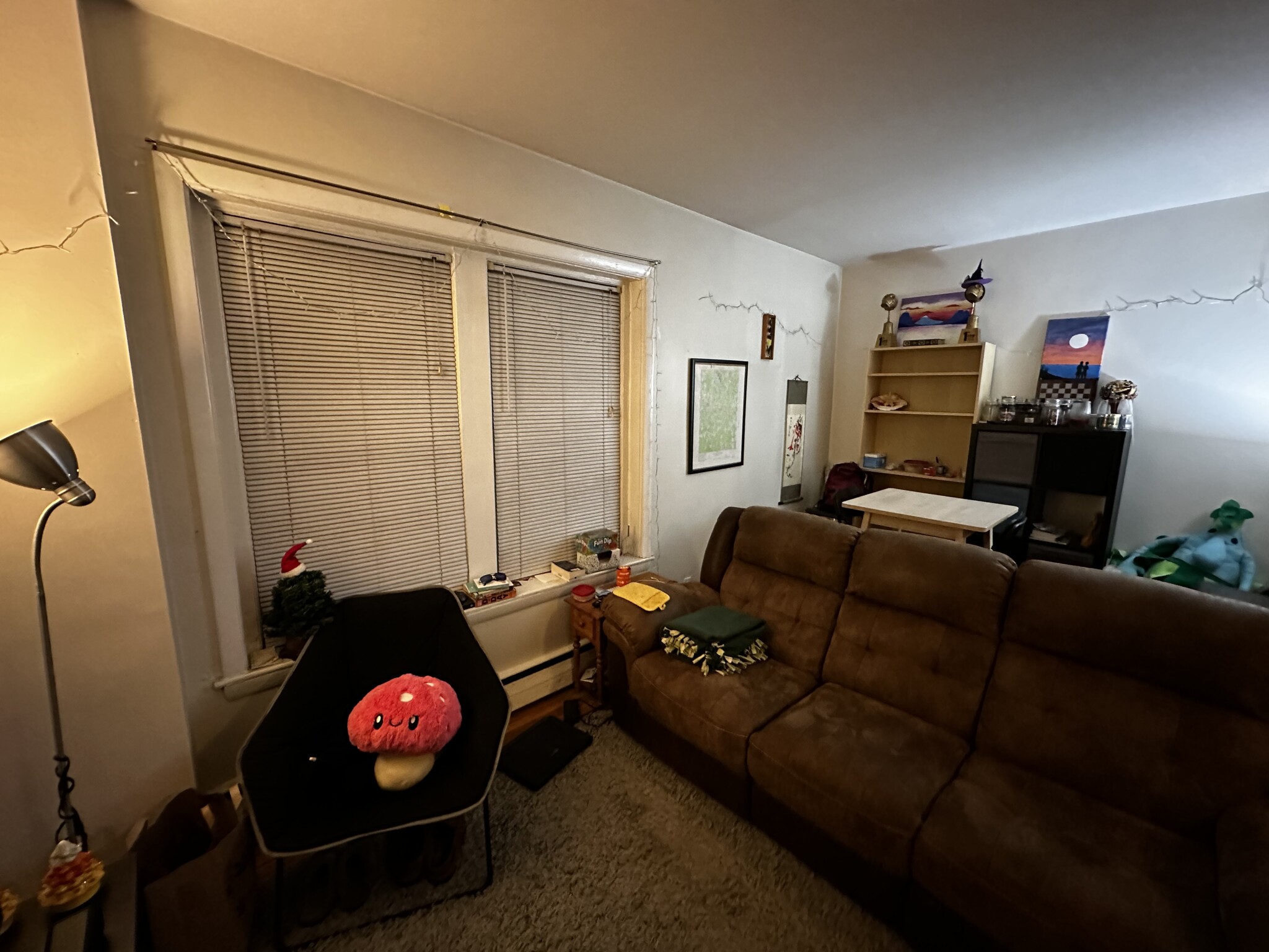 202 Saint Paul St, Coolidge Corner