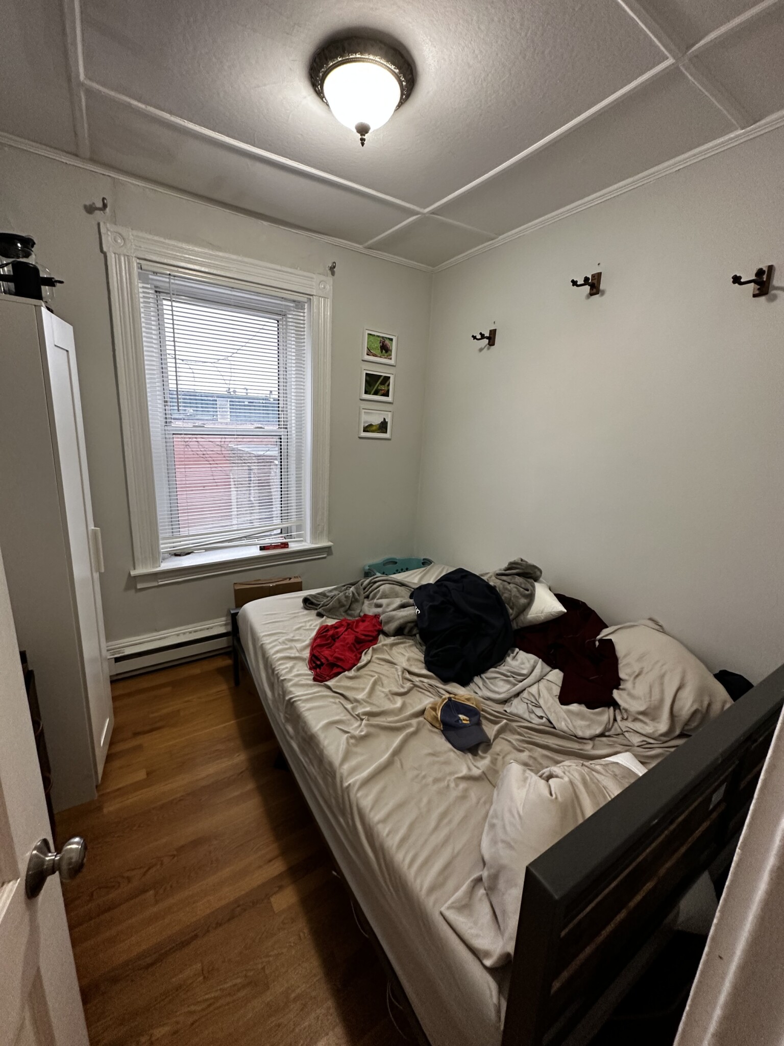 12 Foster St, North End