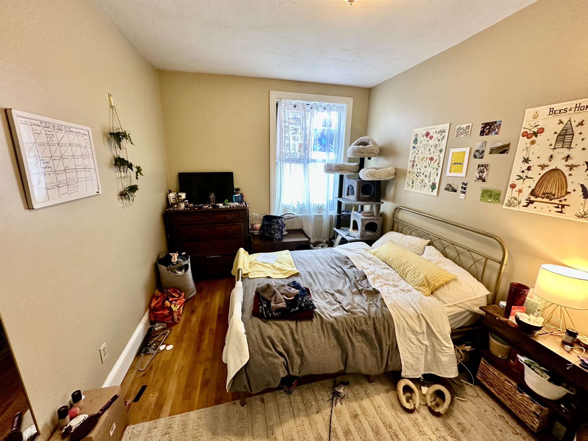 17 Highgate St, Allston