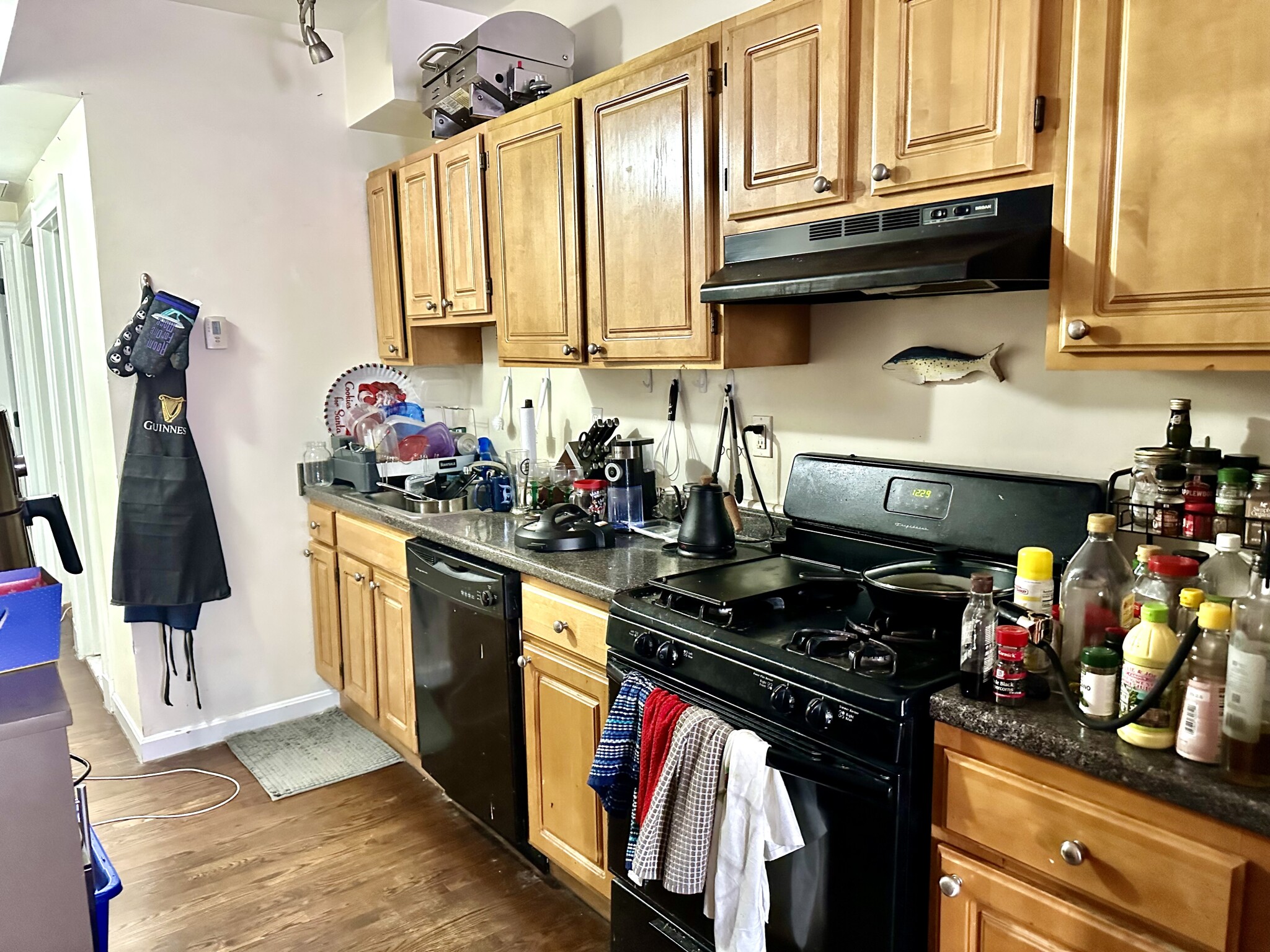 1942 Beacon St, Brighton