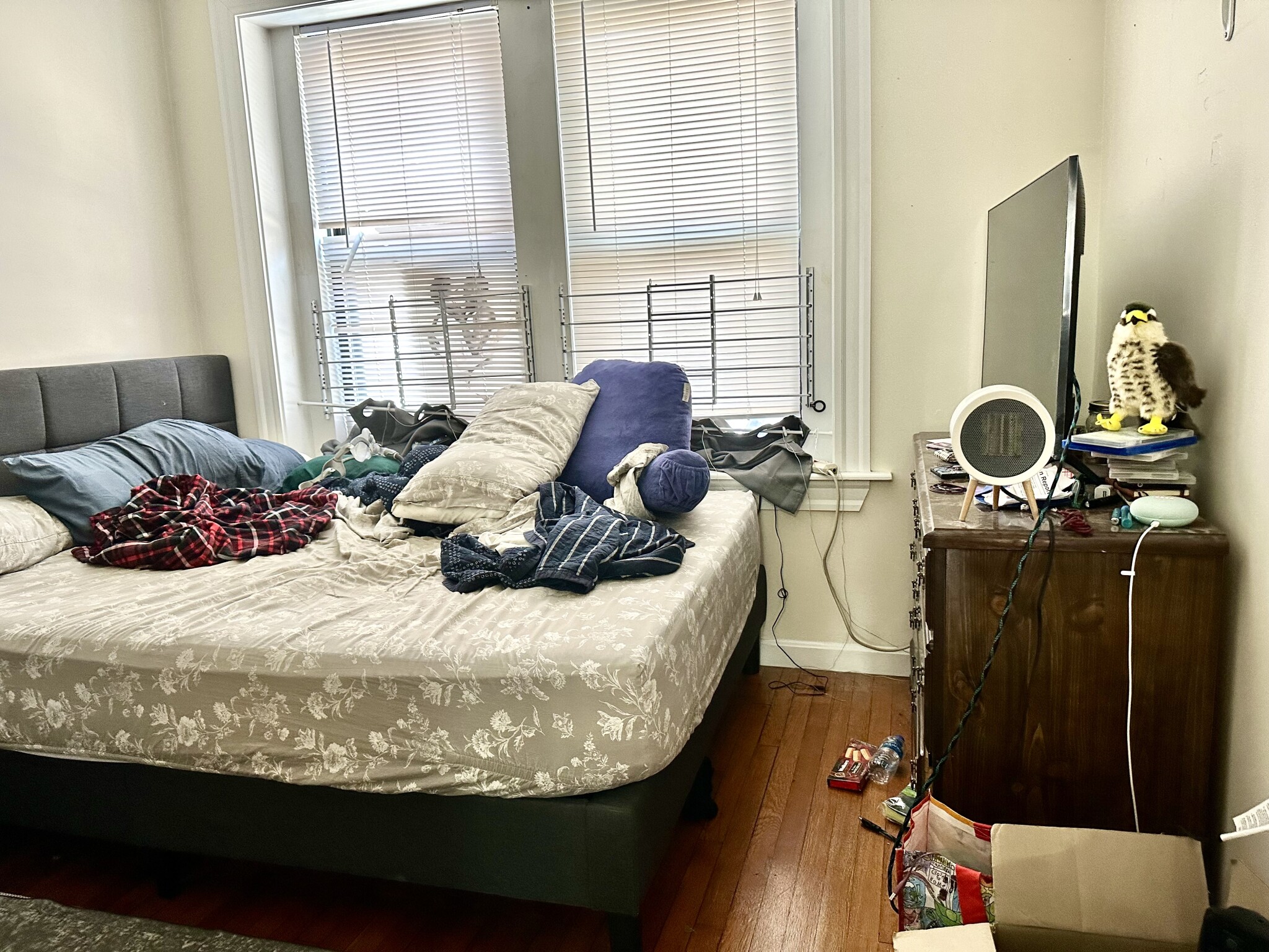 1942 Beacon St, Brighton