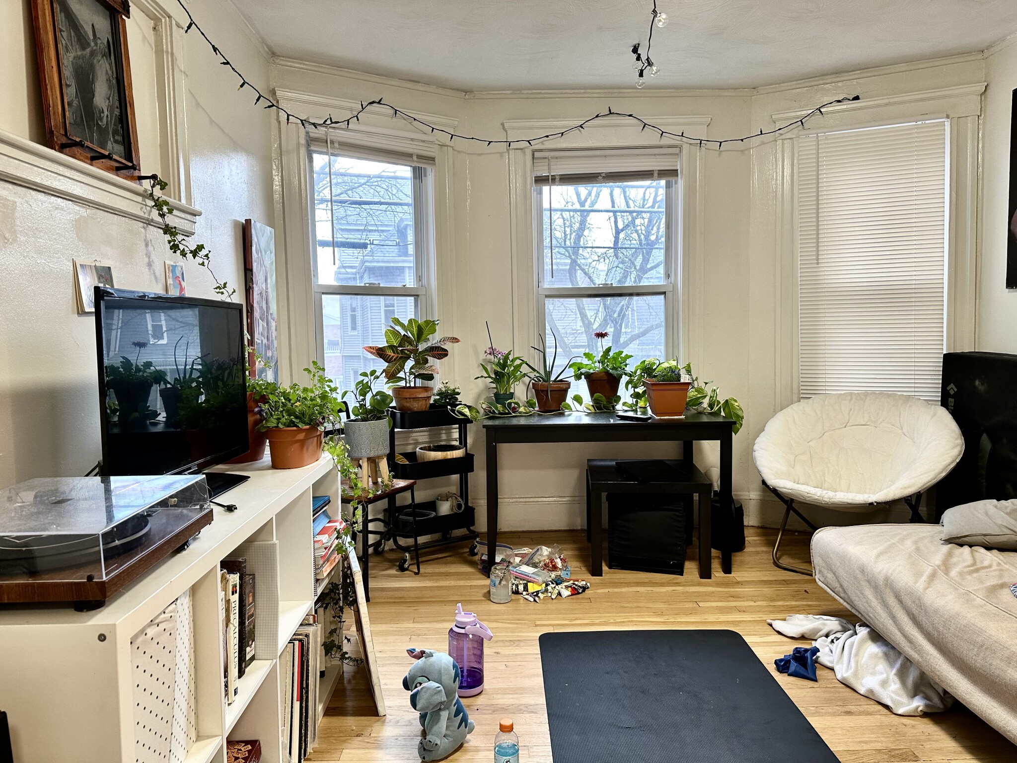 223 Summer St, Spring Hill