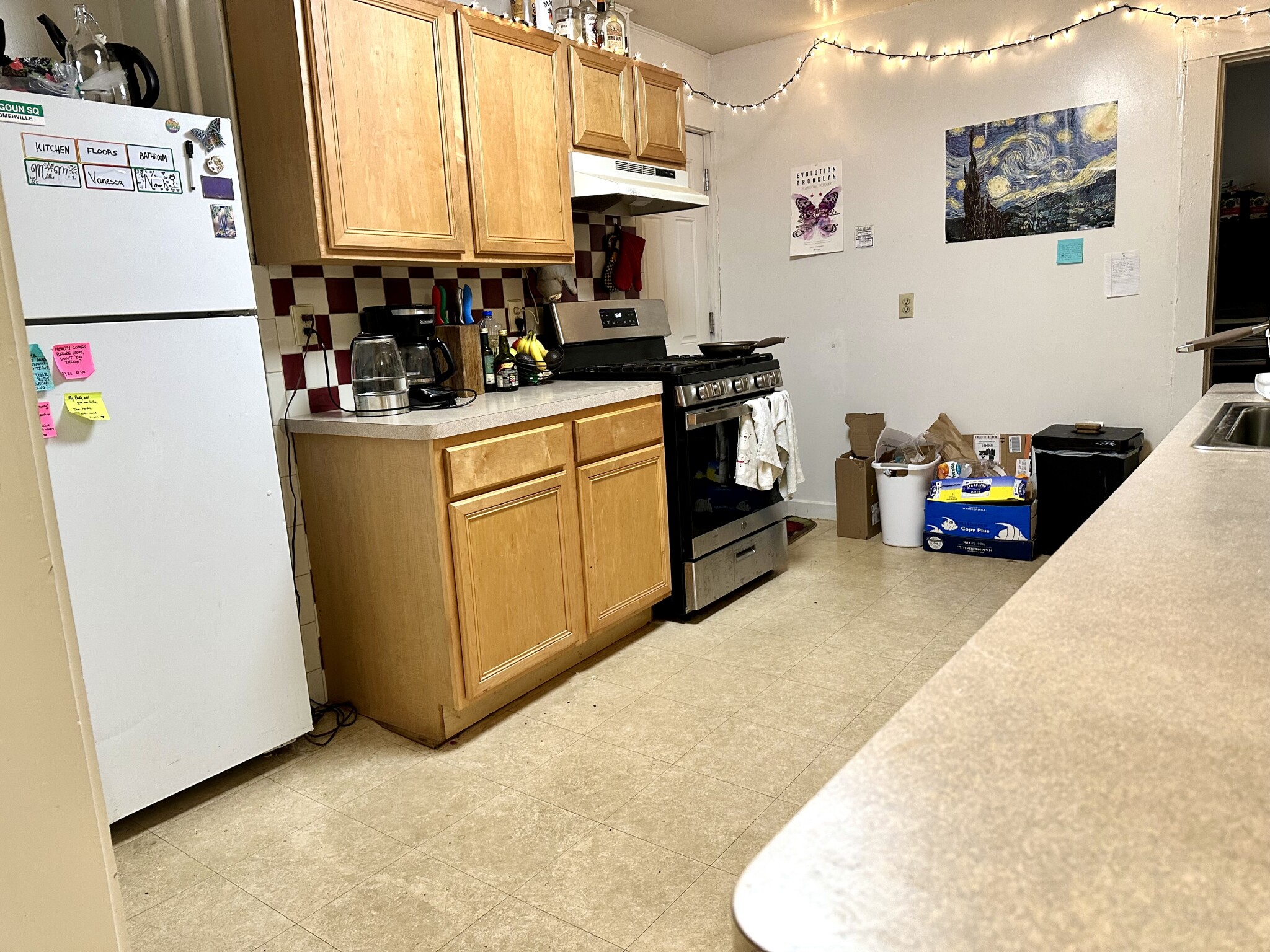 223 Summer St, Spring Hill