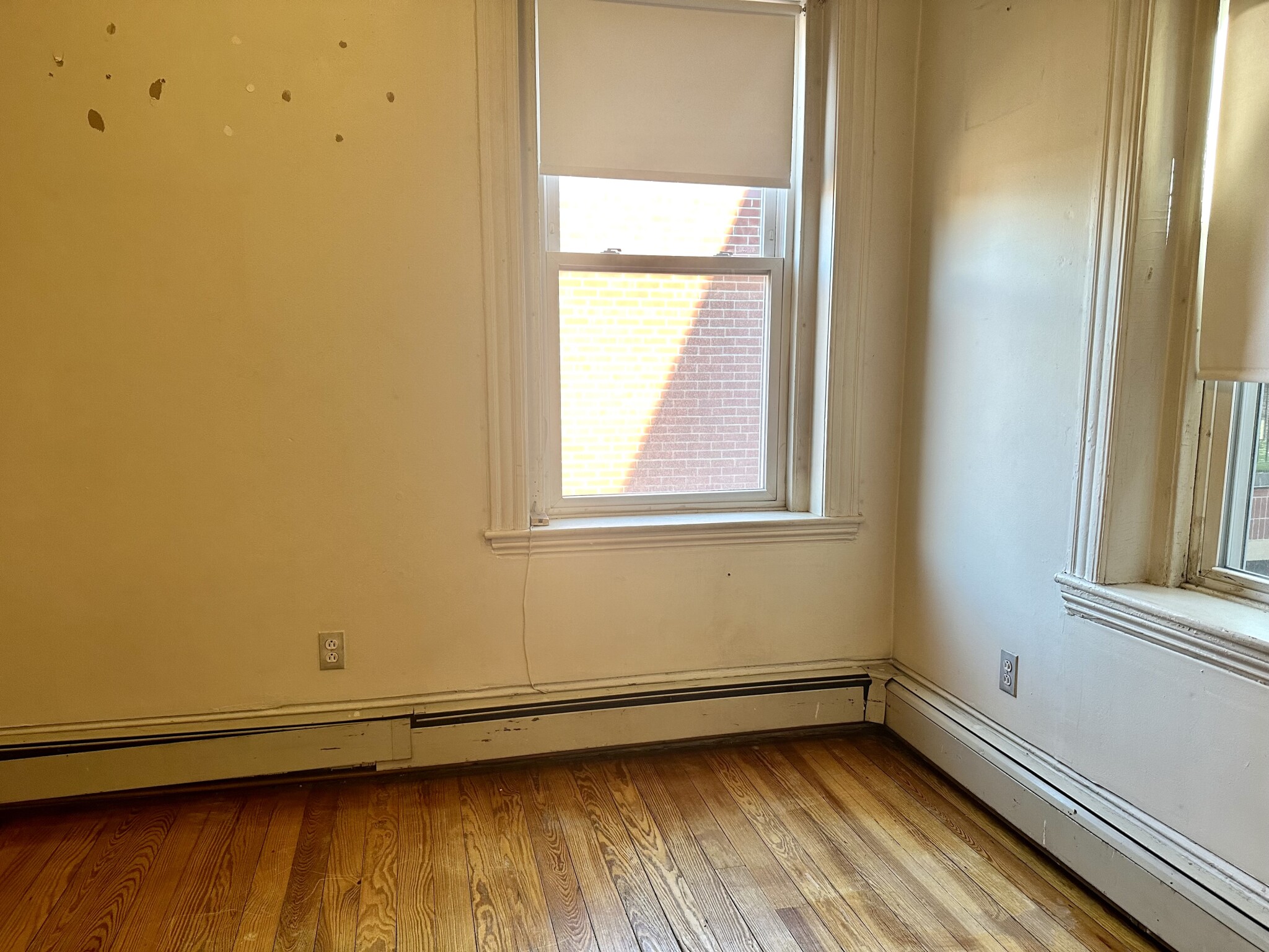 73 Phillips St, Beacon Hill