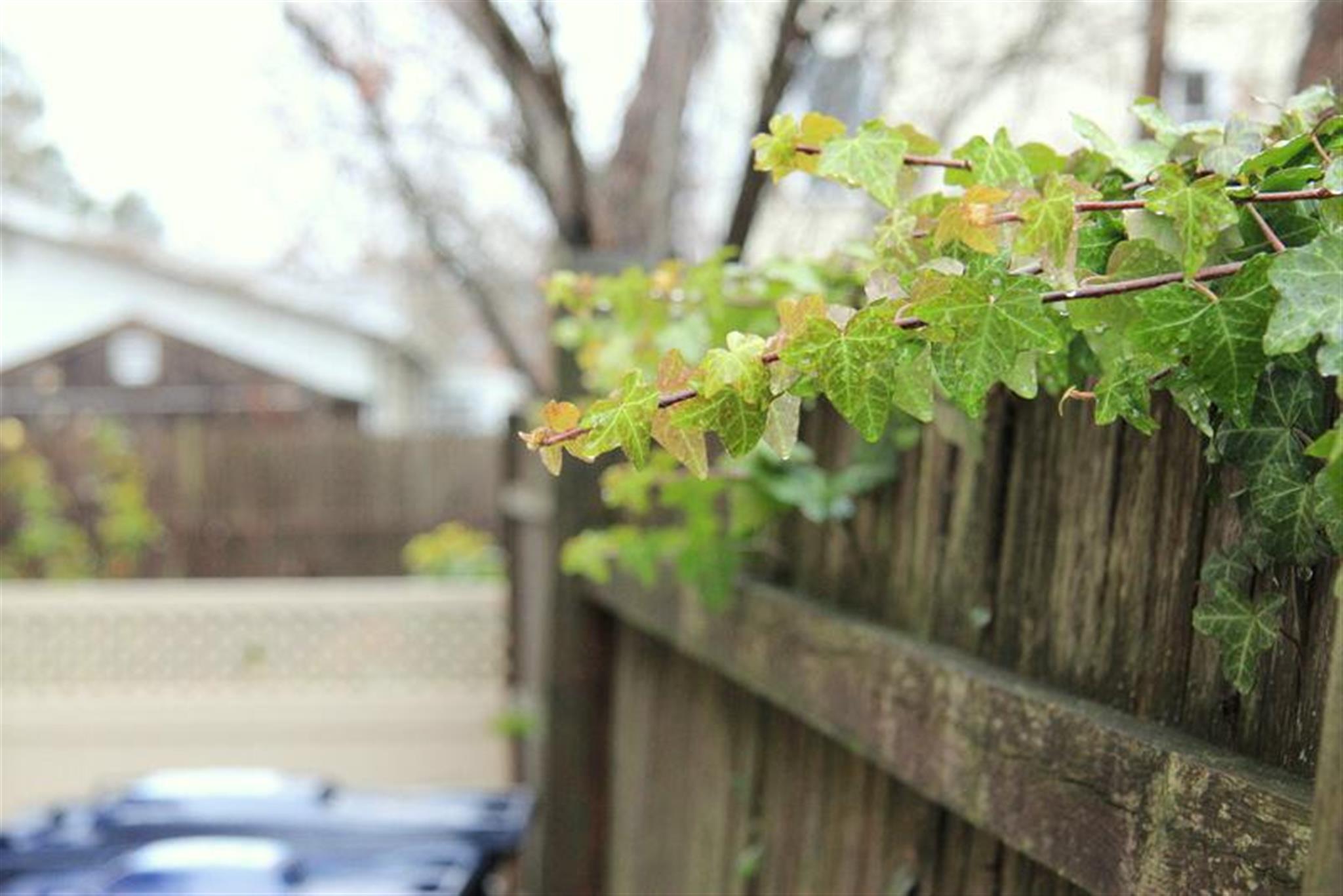 23 Sargent St, North Cambridge