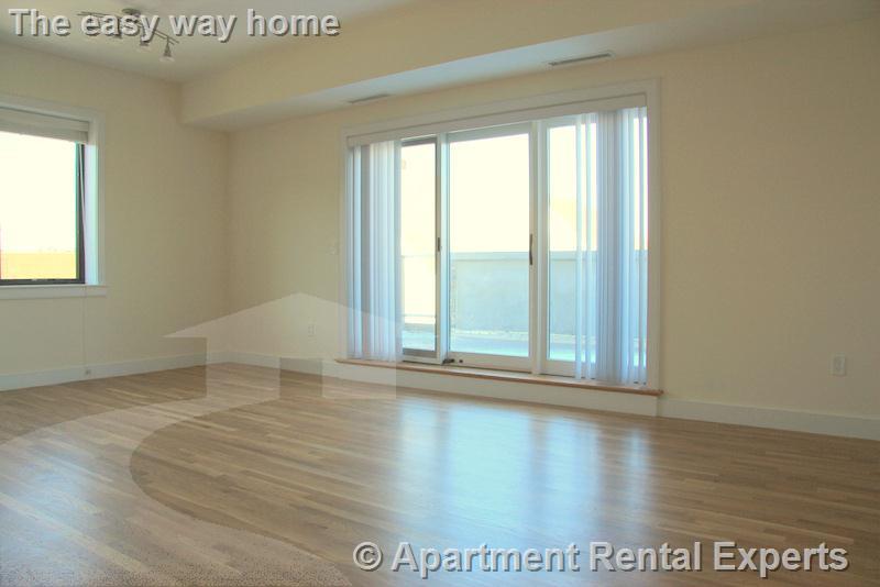 377 Summer, Davis Square