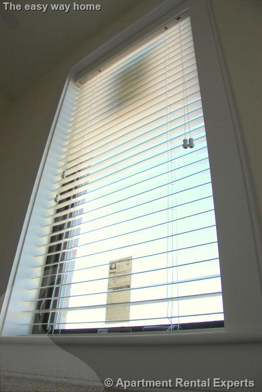 377 Summer, Davis Square