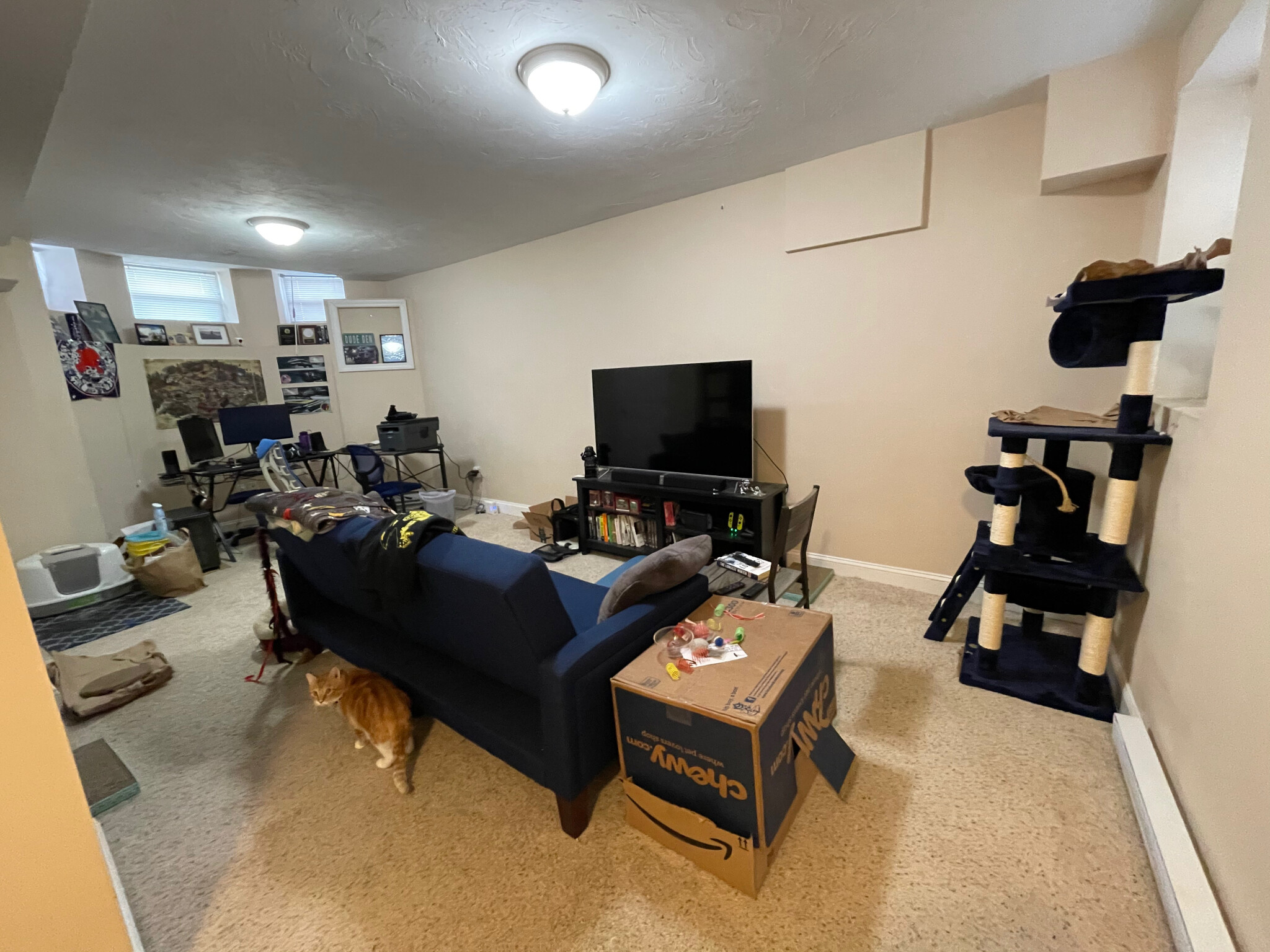 887 Huntington Ave, Mission Hill