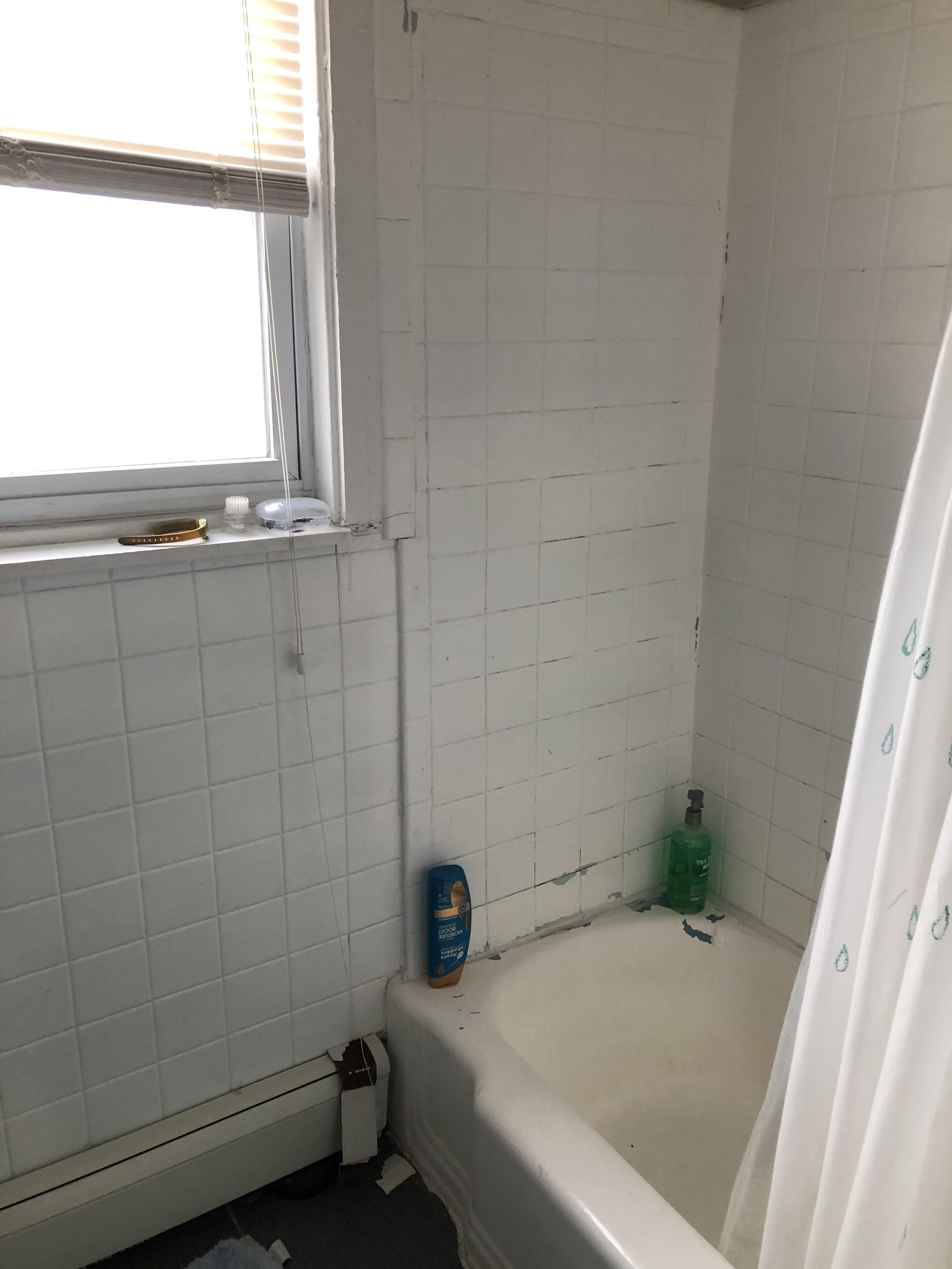 71 Chestnut Hill Ave, Brighton