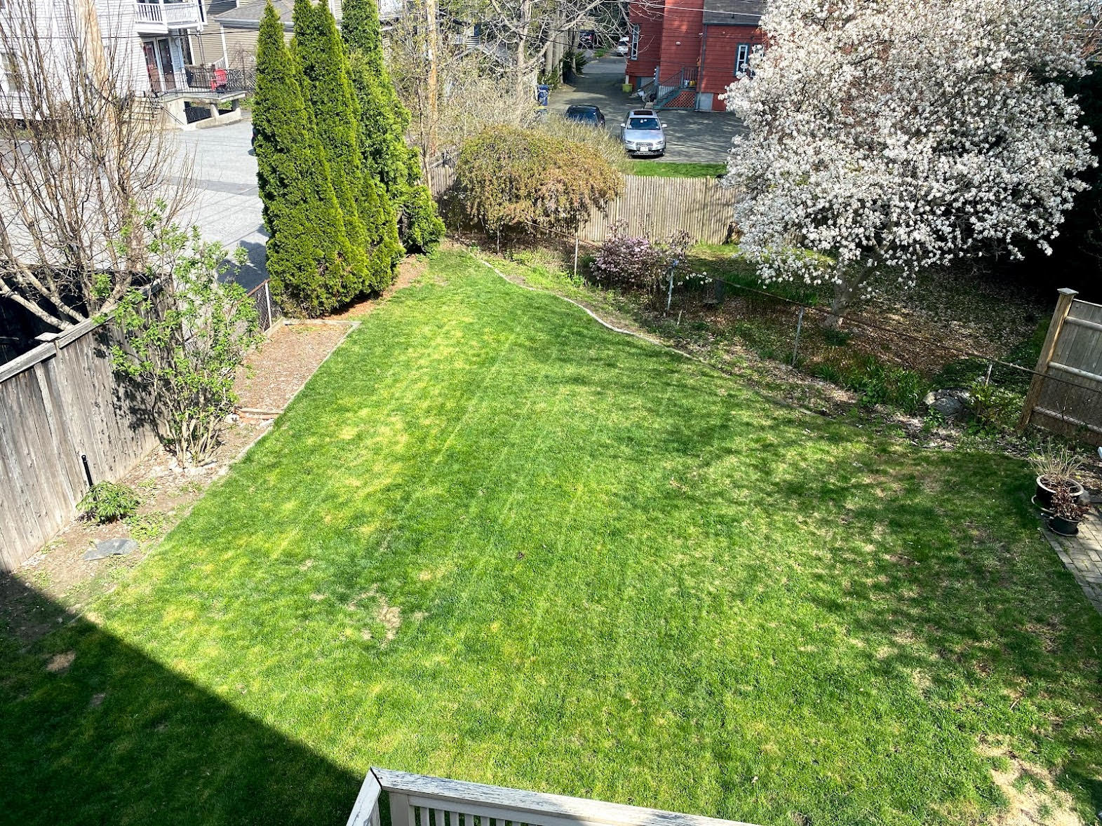 20 Oakland St, Newton Corner