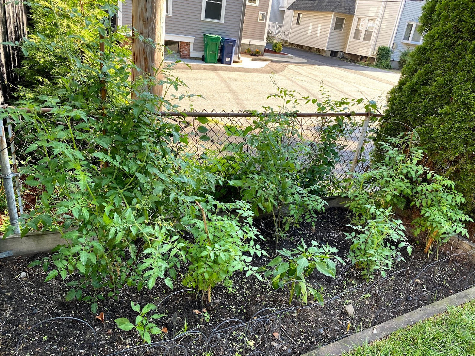 20 Oakland St, Newton Corner