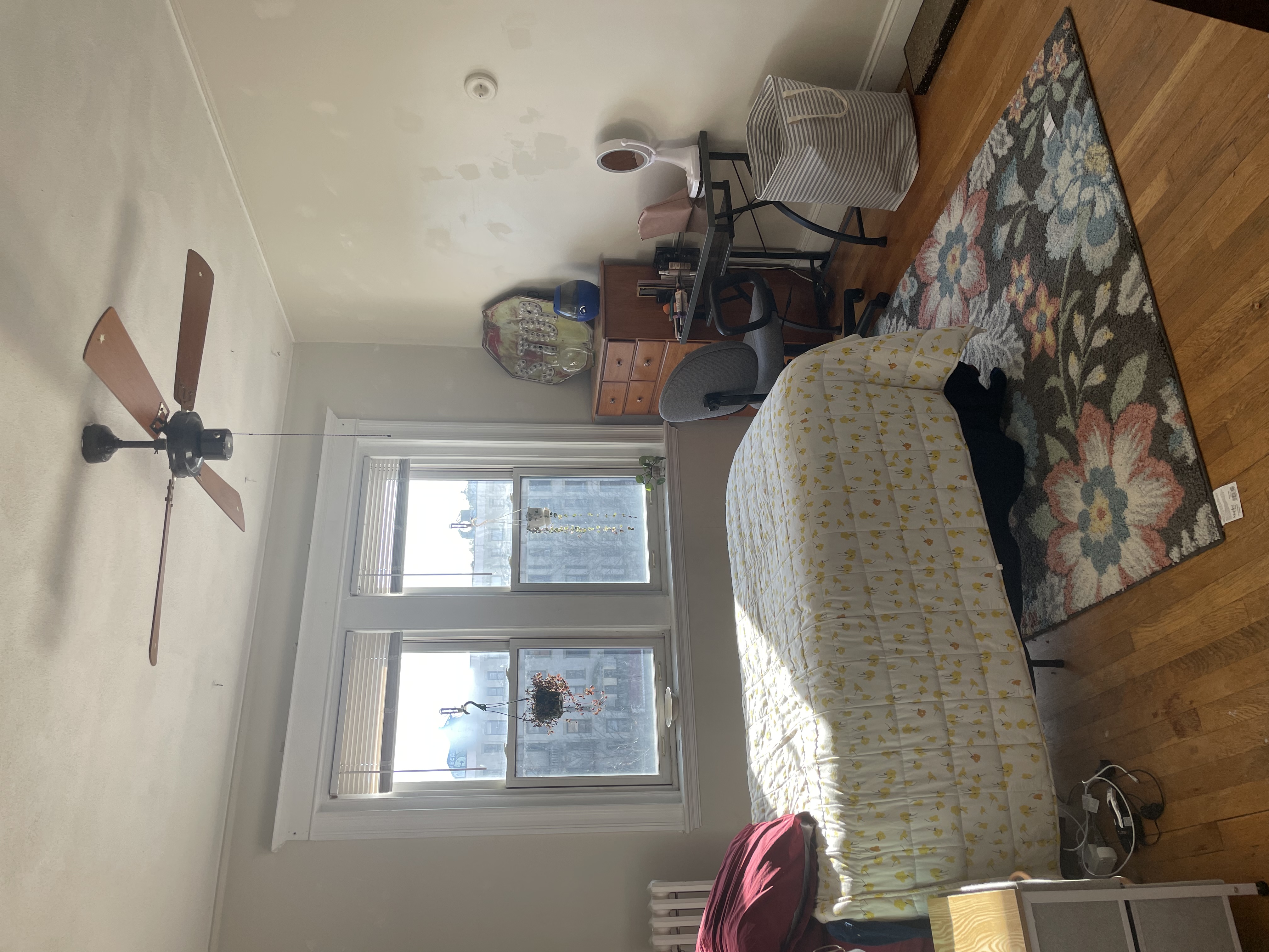 1255 Commonwealth Ave, Brighton