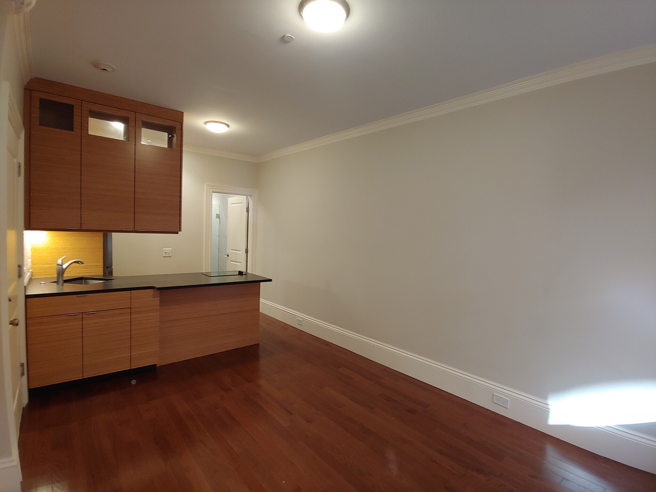 98 Myrtle St, Beacon Hill