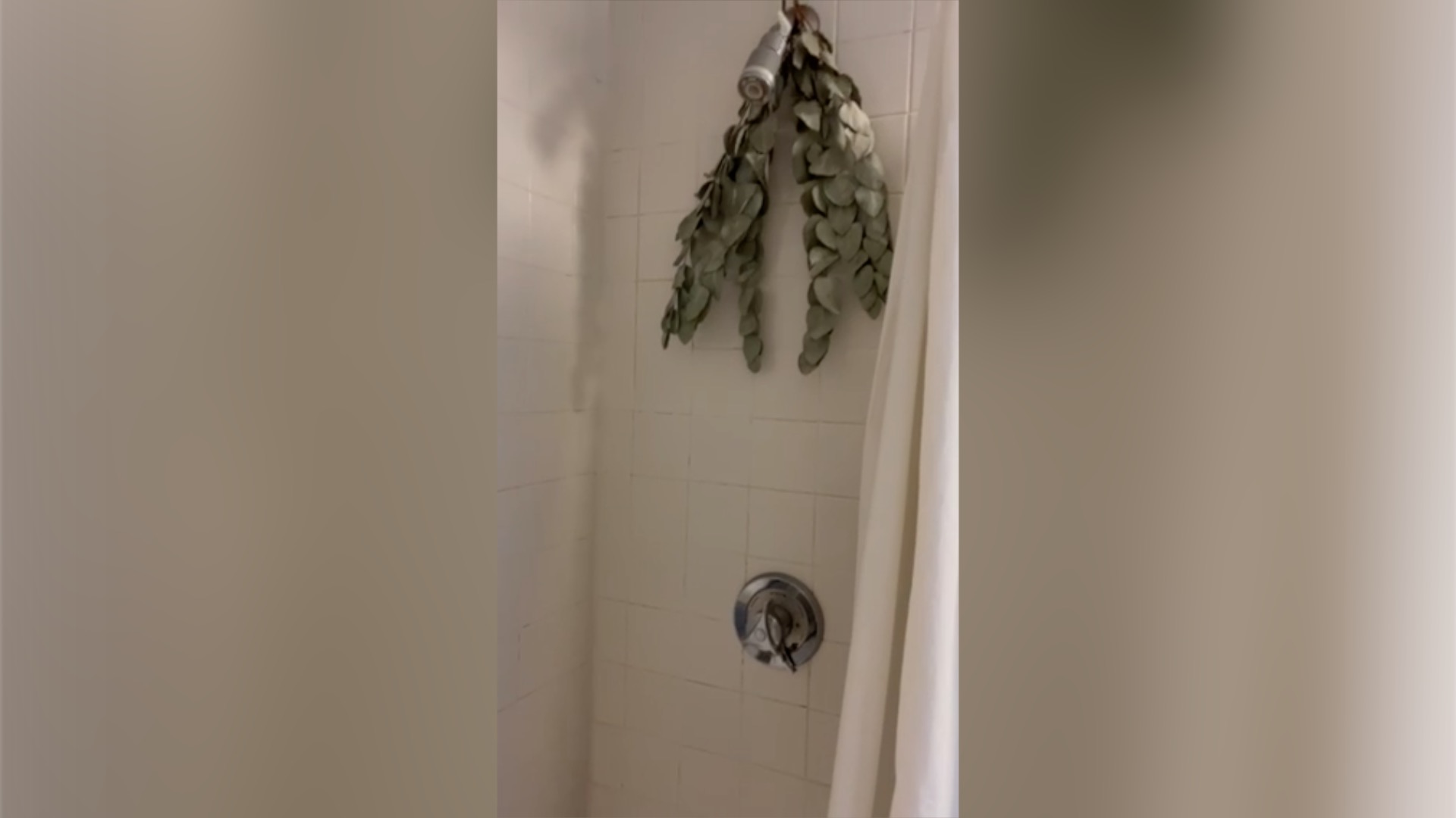 61 Brookline Ave, Fenway