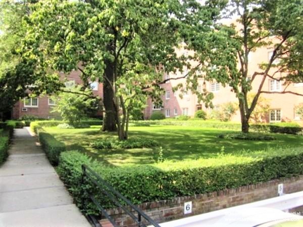 20 Saint Paul St, Coolidge Corner