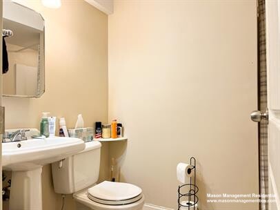 317 Saint Paul St, Brookline