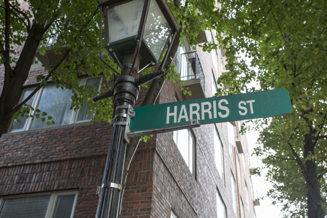 19 Harris St, North End