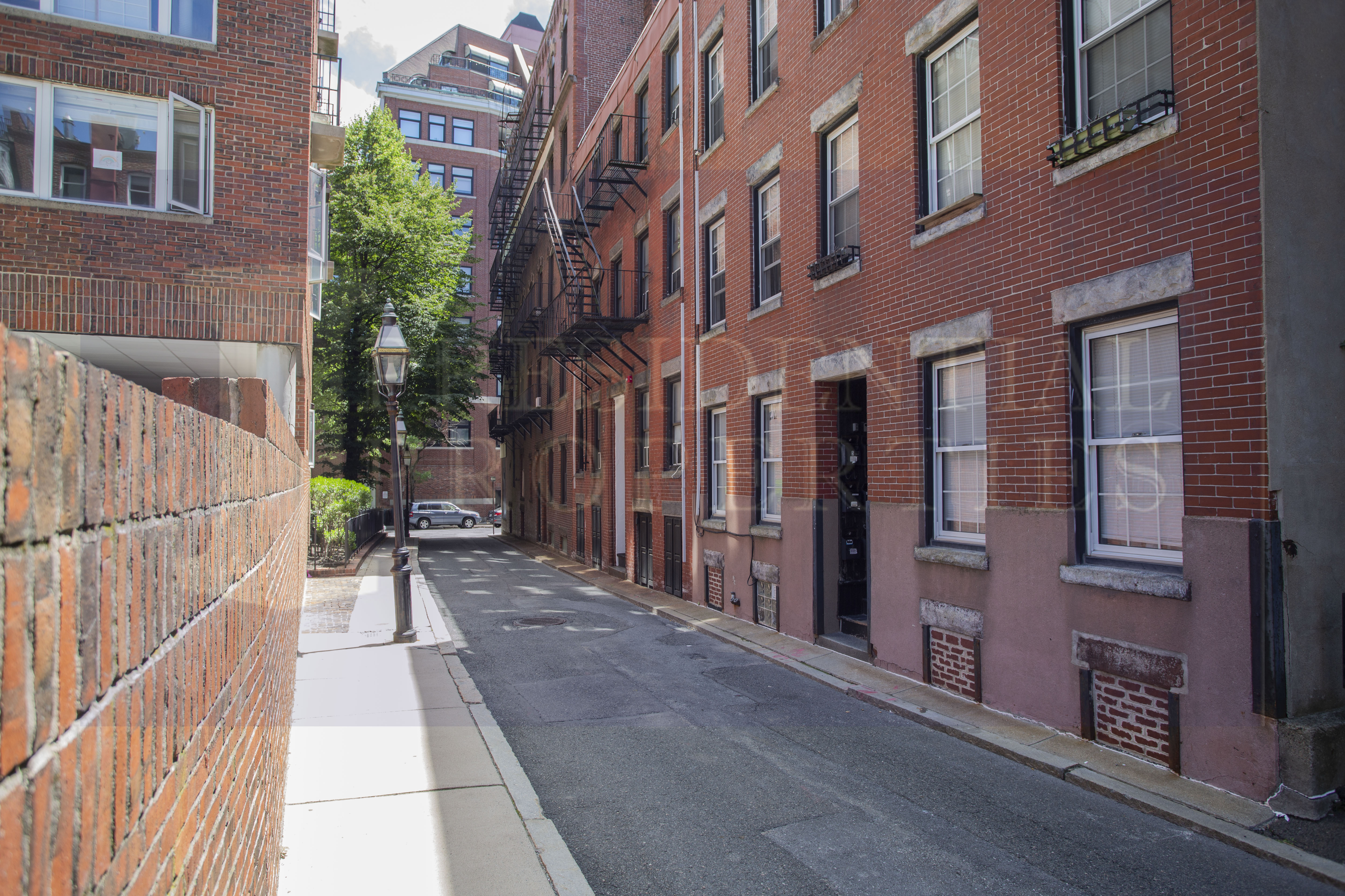 19 Harris St, North End