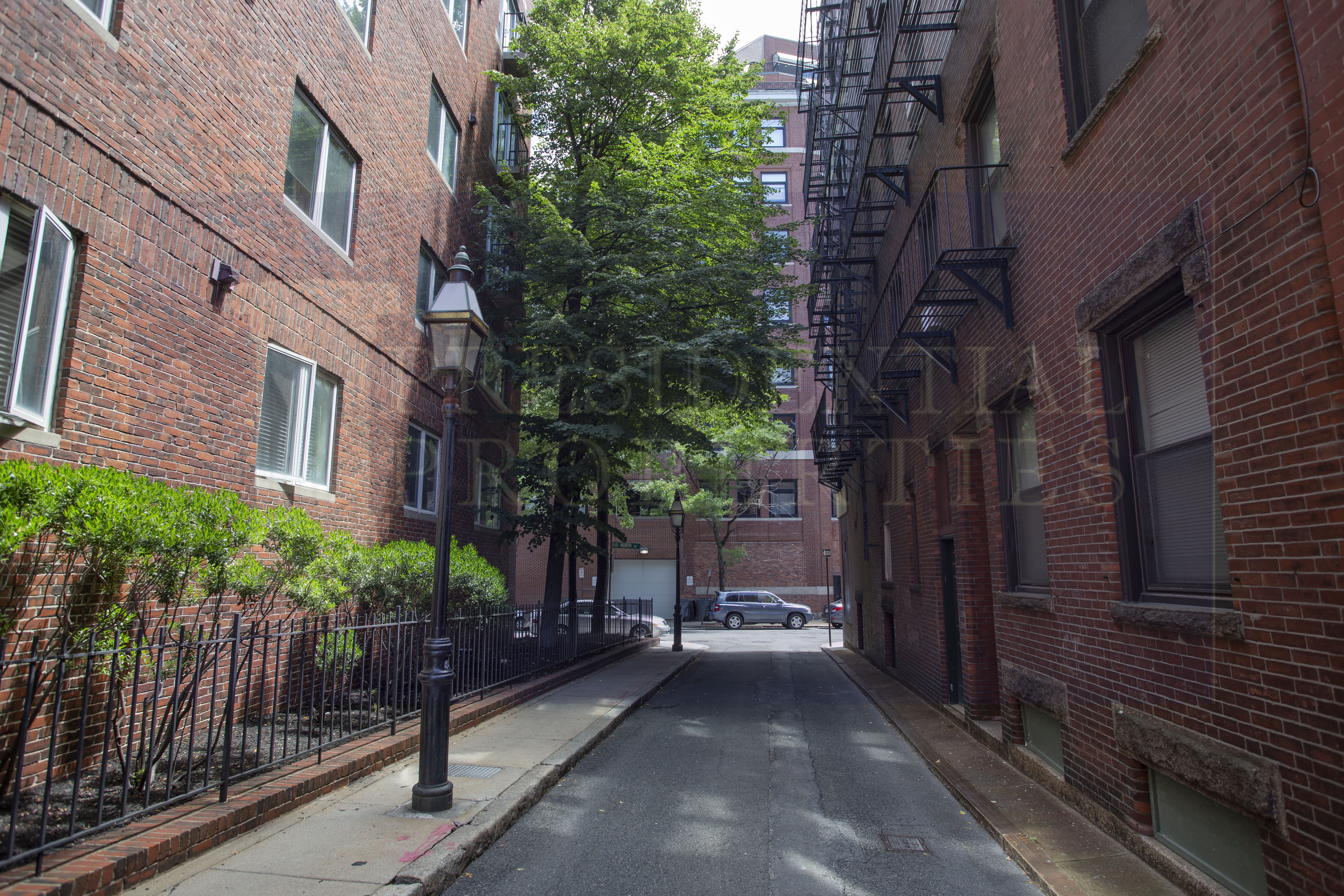 19 Harris St, North End