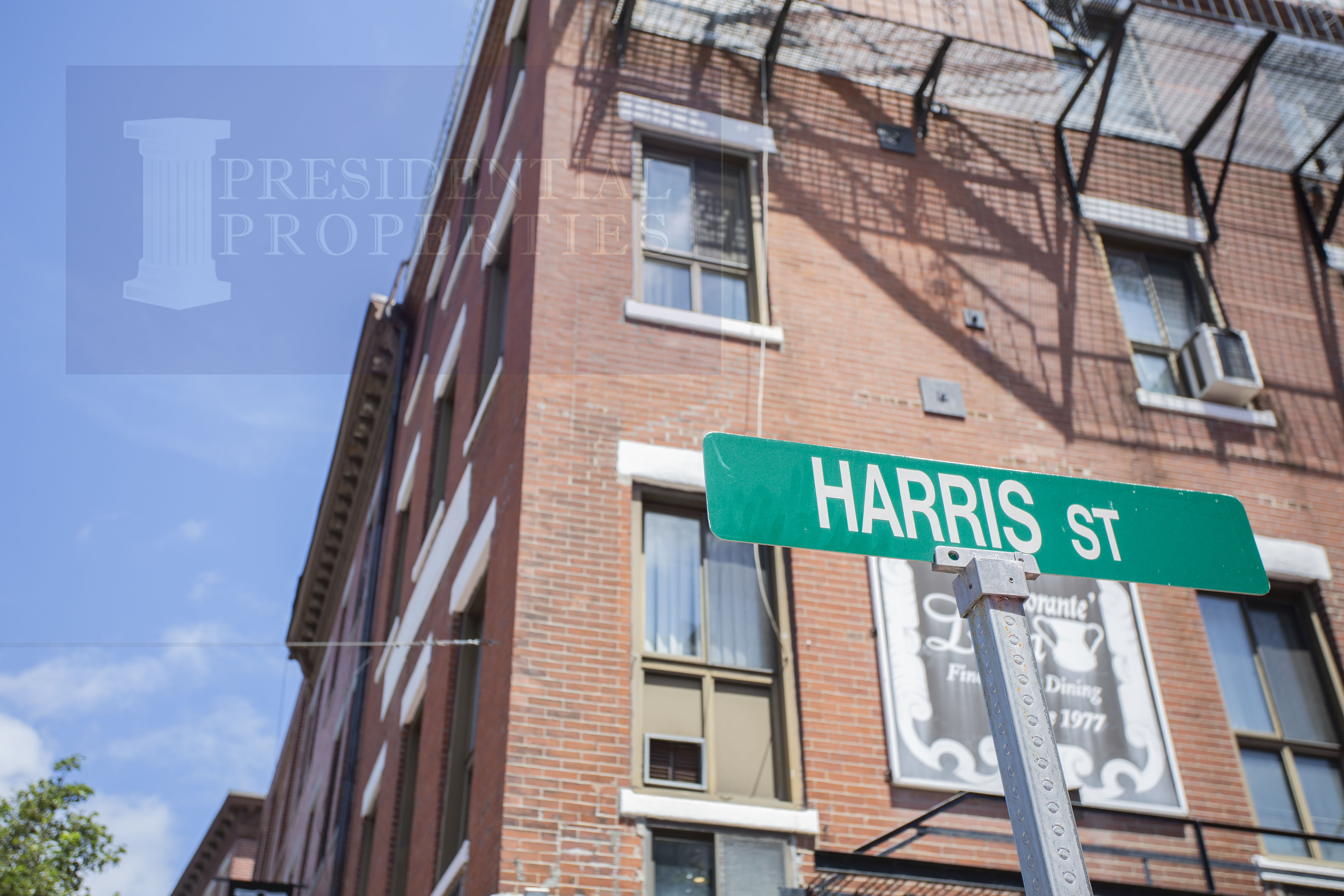 19 Harris St, North End