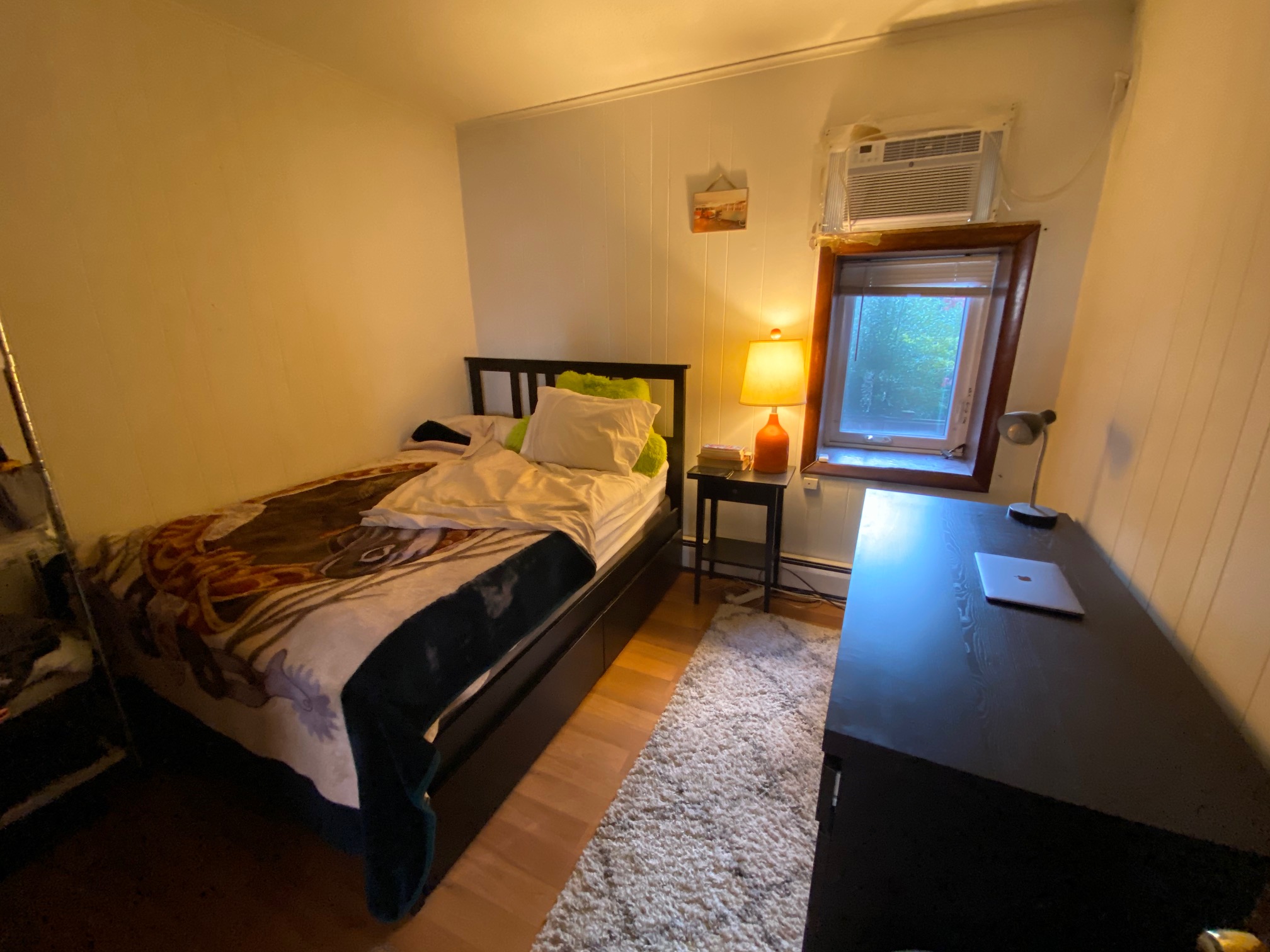 307 Shawmut Ave, South End