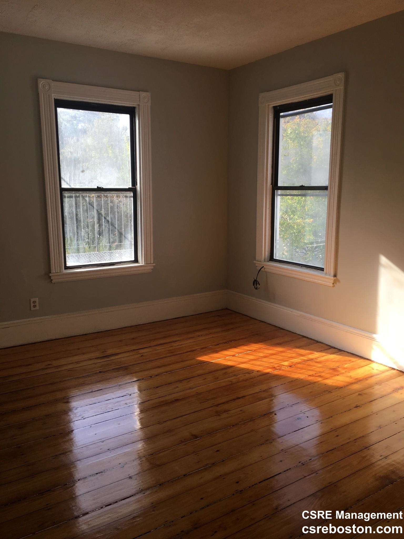 10 Saunders, Allston