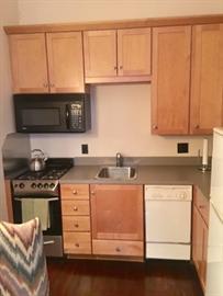 96 Mt Vernon St, Beacon Hill