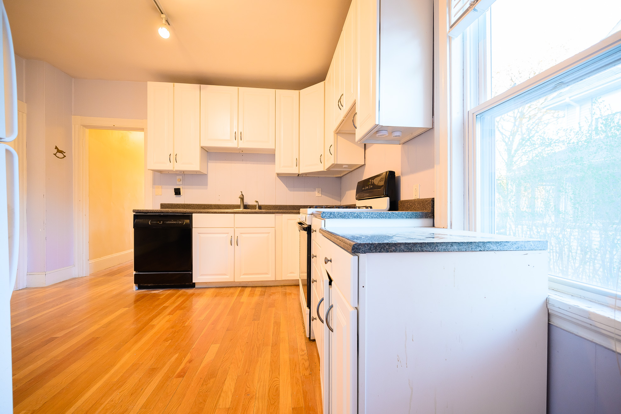 18 Donnybrook Rd, Brighton