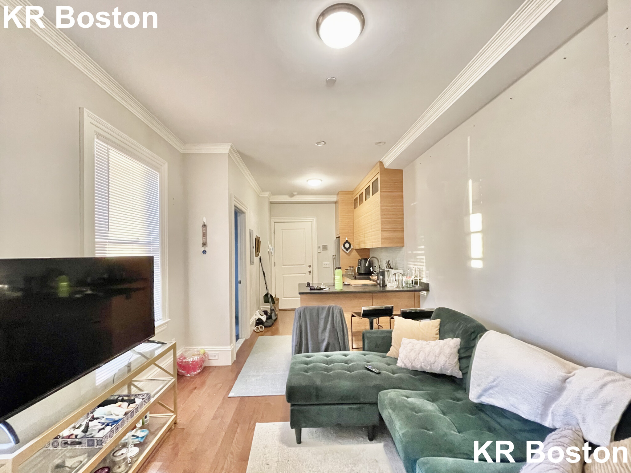 98 Myrtle St, Beacon Hill