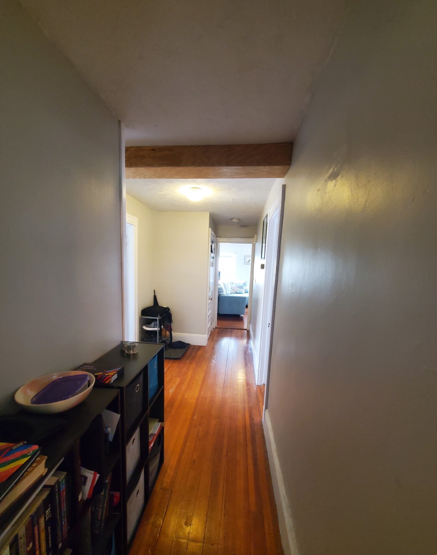 46 Paulina St, Davis Square