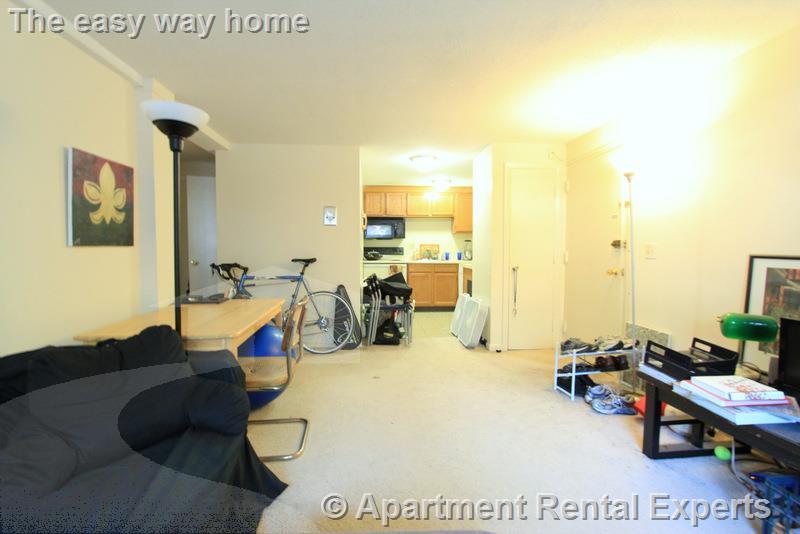 375 Harvard St, Harvard Square