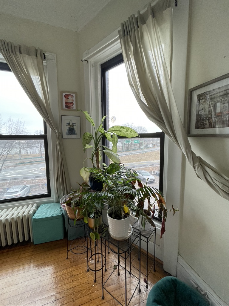 41 Bay State Rd, Fenway