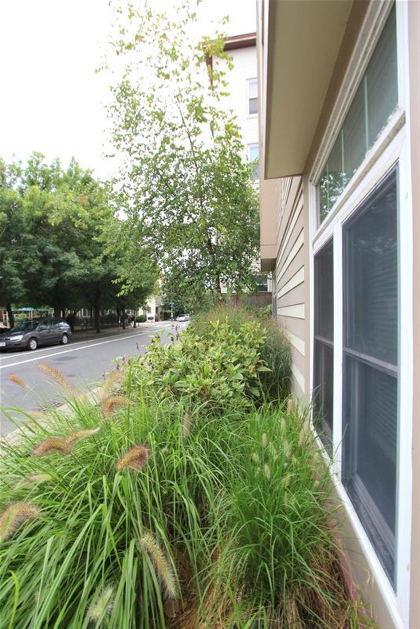 21 Brookline St, Central Square