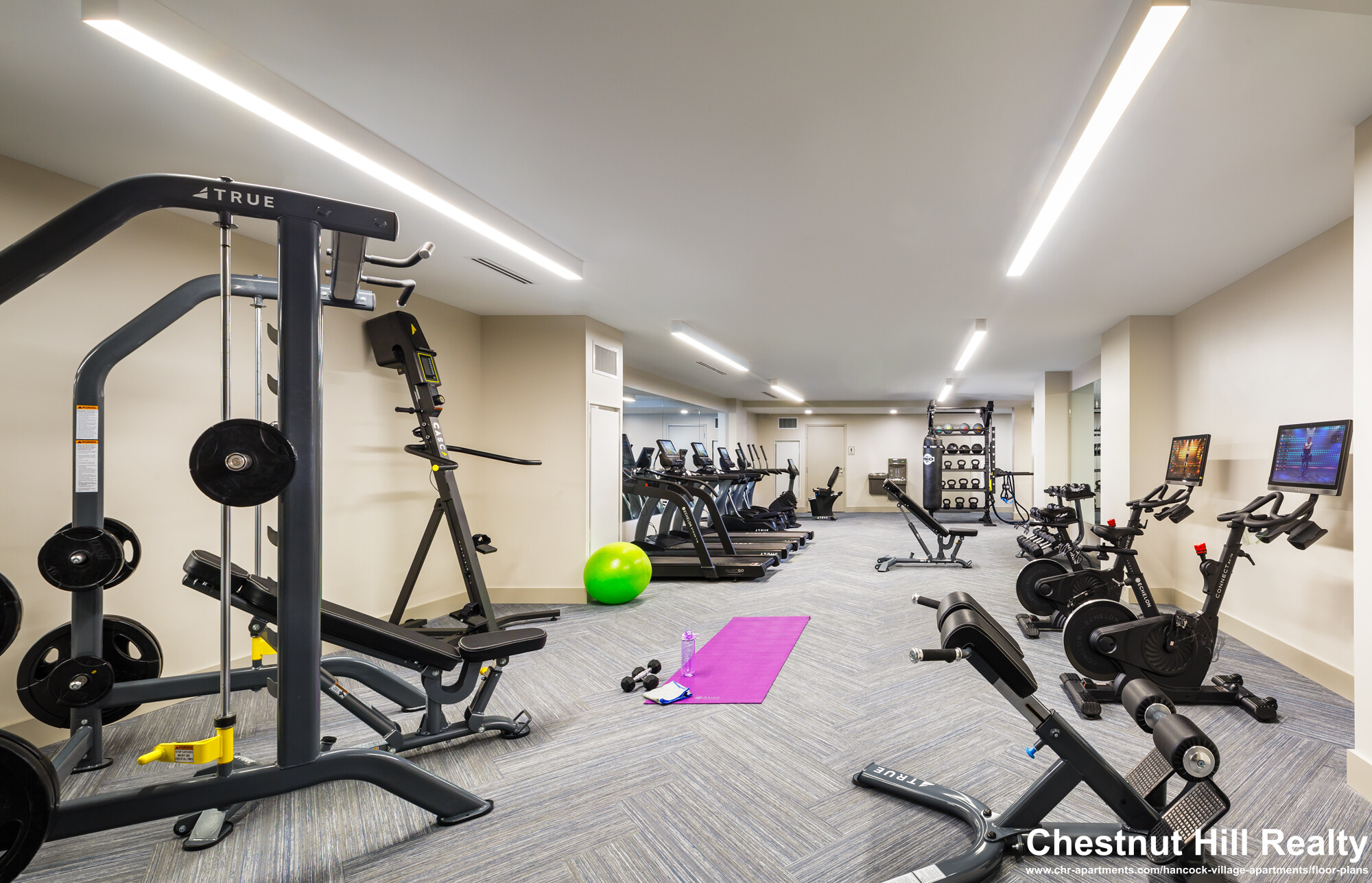 101 Asheville Rd, Chestnut Hill