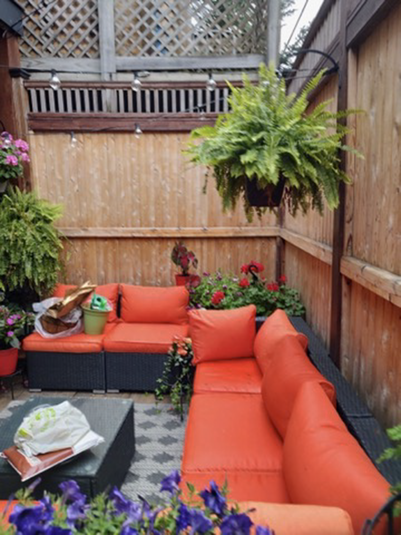 49 Fort Ave, Roxbury