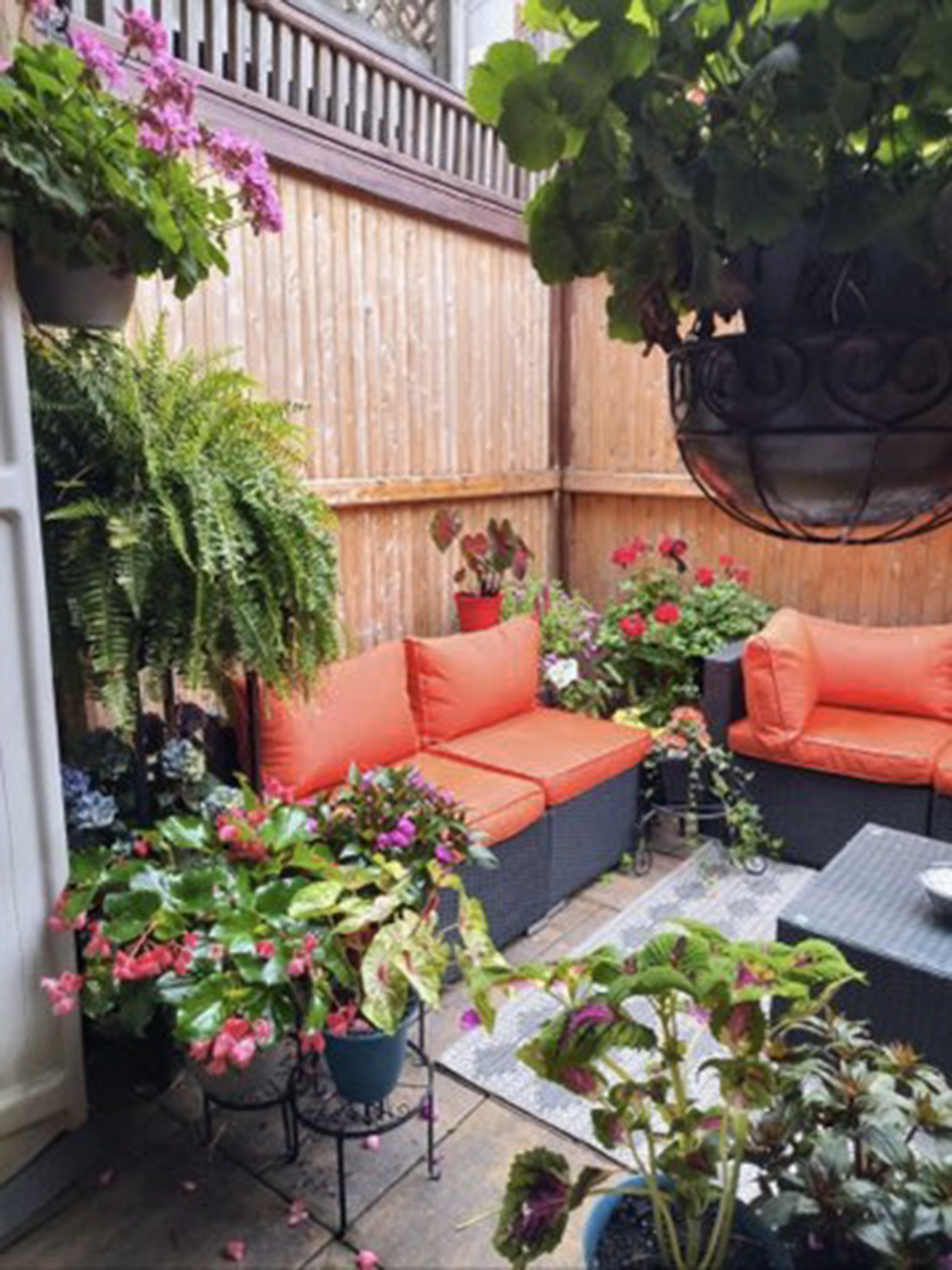 49 Fort Ave, Roxbury