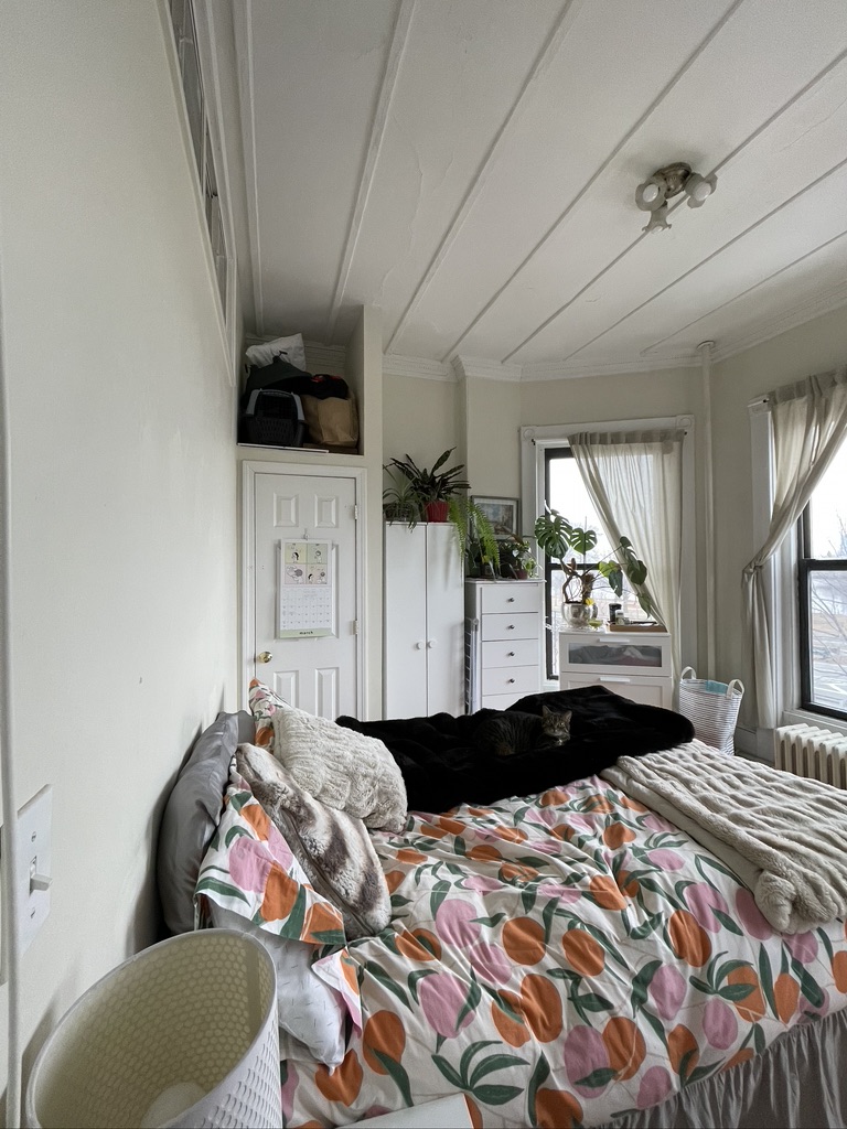 41 Bay State Rd, Fenway