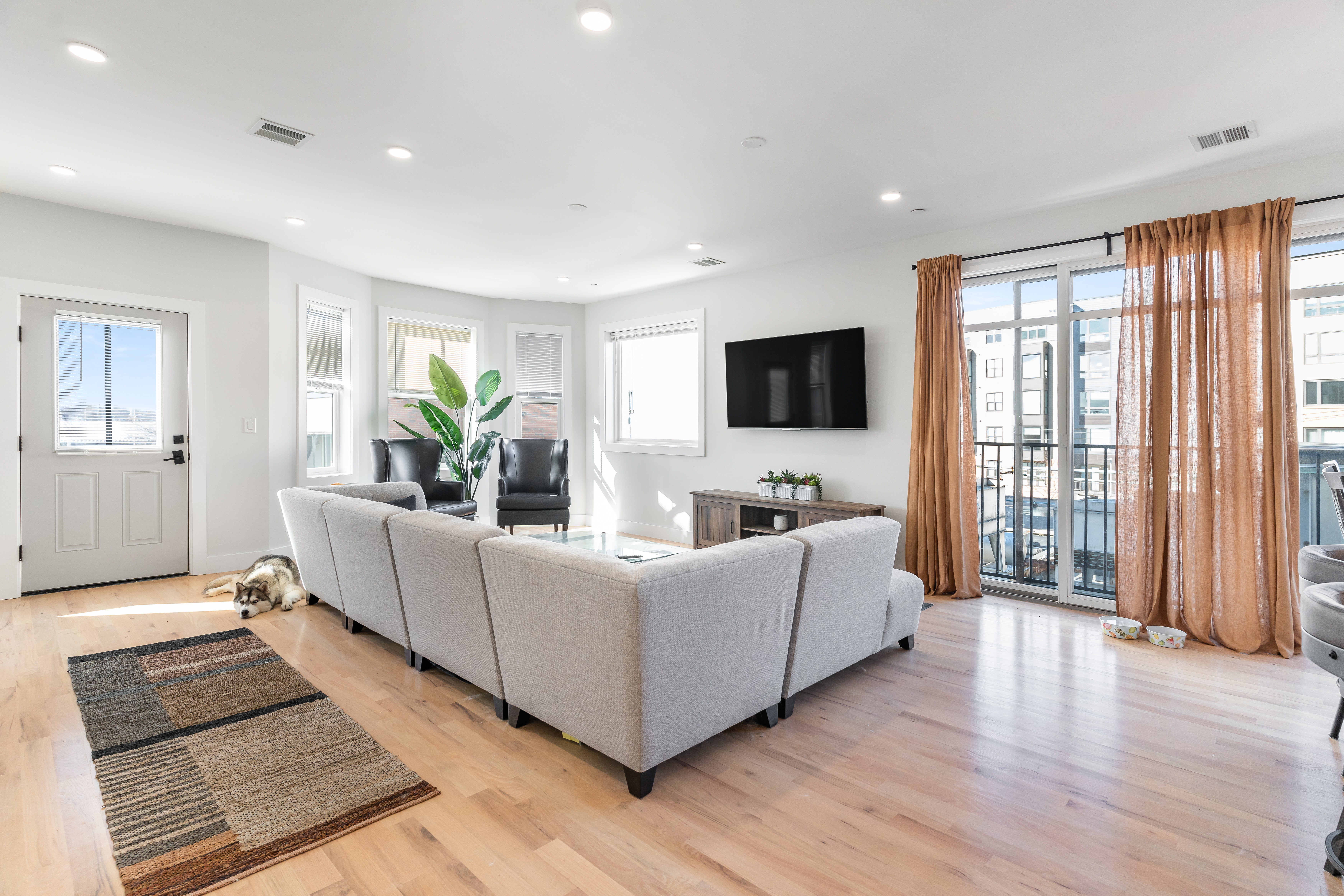 17 W Bellflower, Dorchester