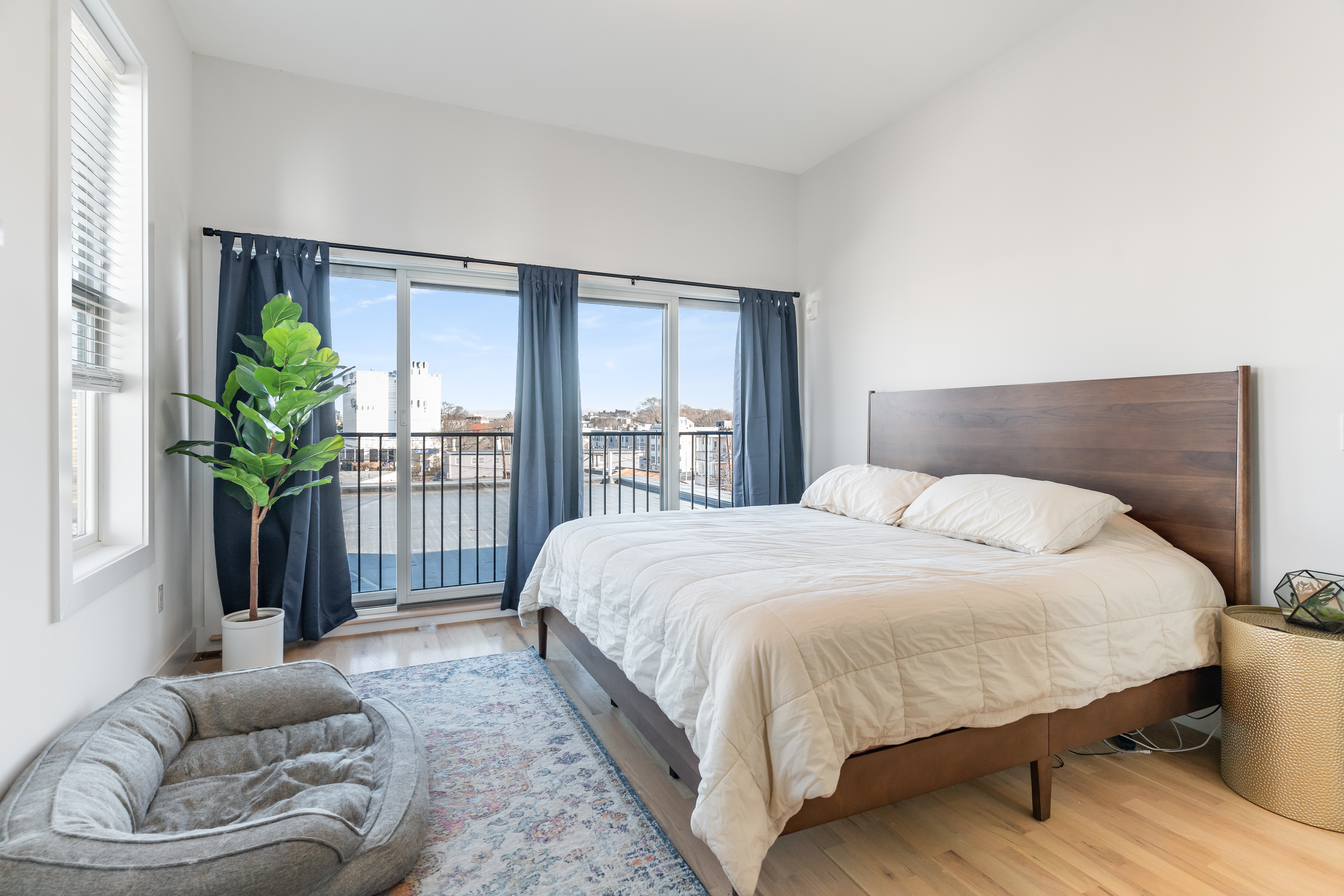 17 W Bellflower, Dorchester