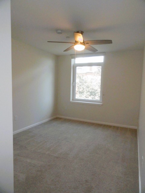 1008 Massachusetts Ave, Harvard Square