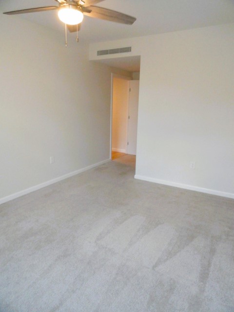 1008 Massachusetts Ave, Harvard Square